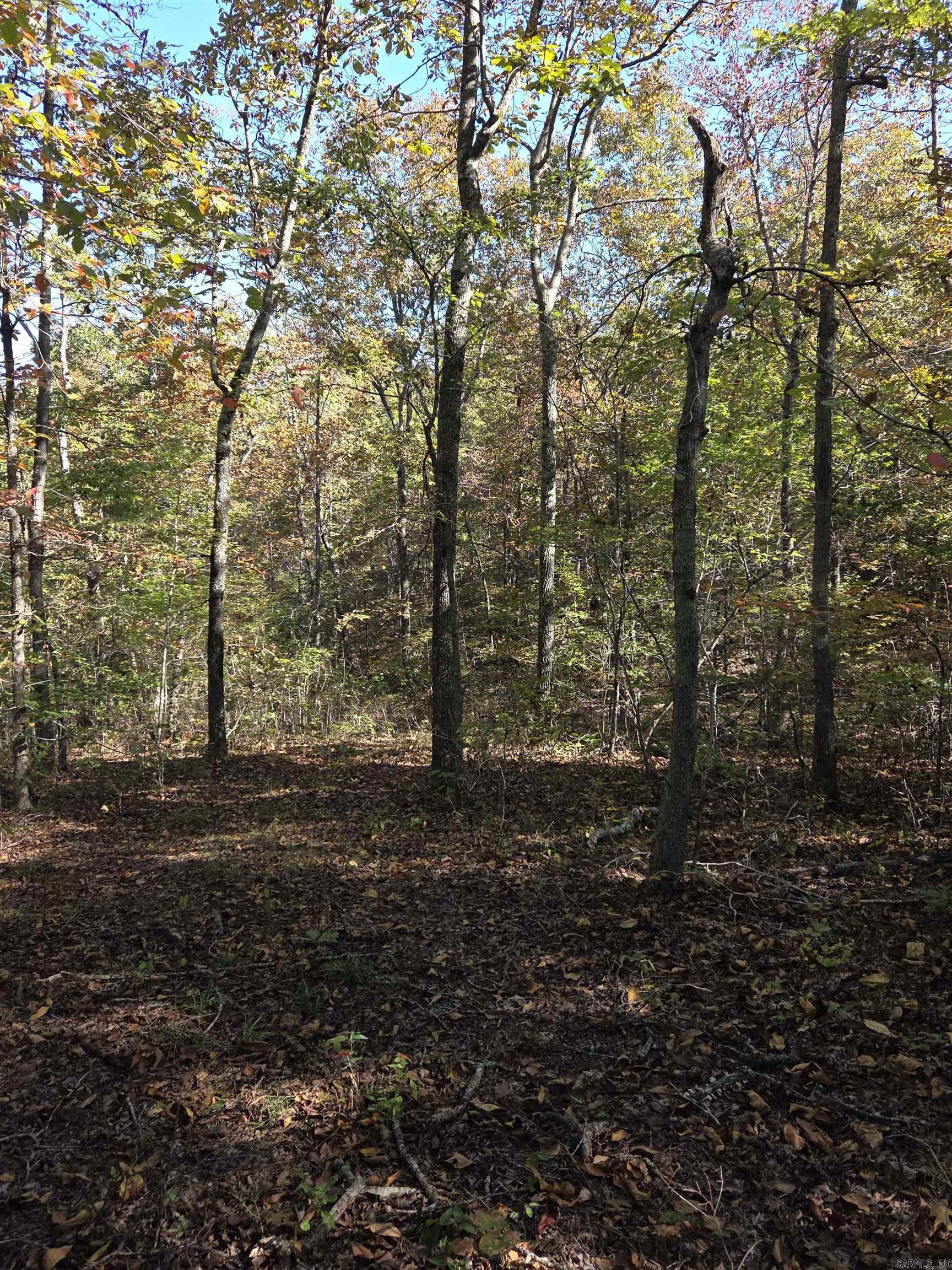 10 unrestricted acres located on Nellie's Lane and Karen Drive. Power runs along the property on Nellie's Lane. City water is a quarter mile away. Nice topography and timber, as well as a small trail through the property. 15 minutes to Clinton. Greers Ferry Lake and The Buffalo River are nearby.