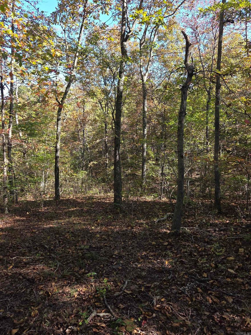 10 unrestricted acres located on Nellie's Lane and Karen Drive. Power runs along the property on Nellie's Lane. City water is a quarter mile away. Nice topography and timber, as well as a small trail through the property. 15 minutes to Clinton. Greers Ferry Lake and The Buffalo River are nearby.