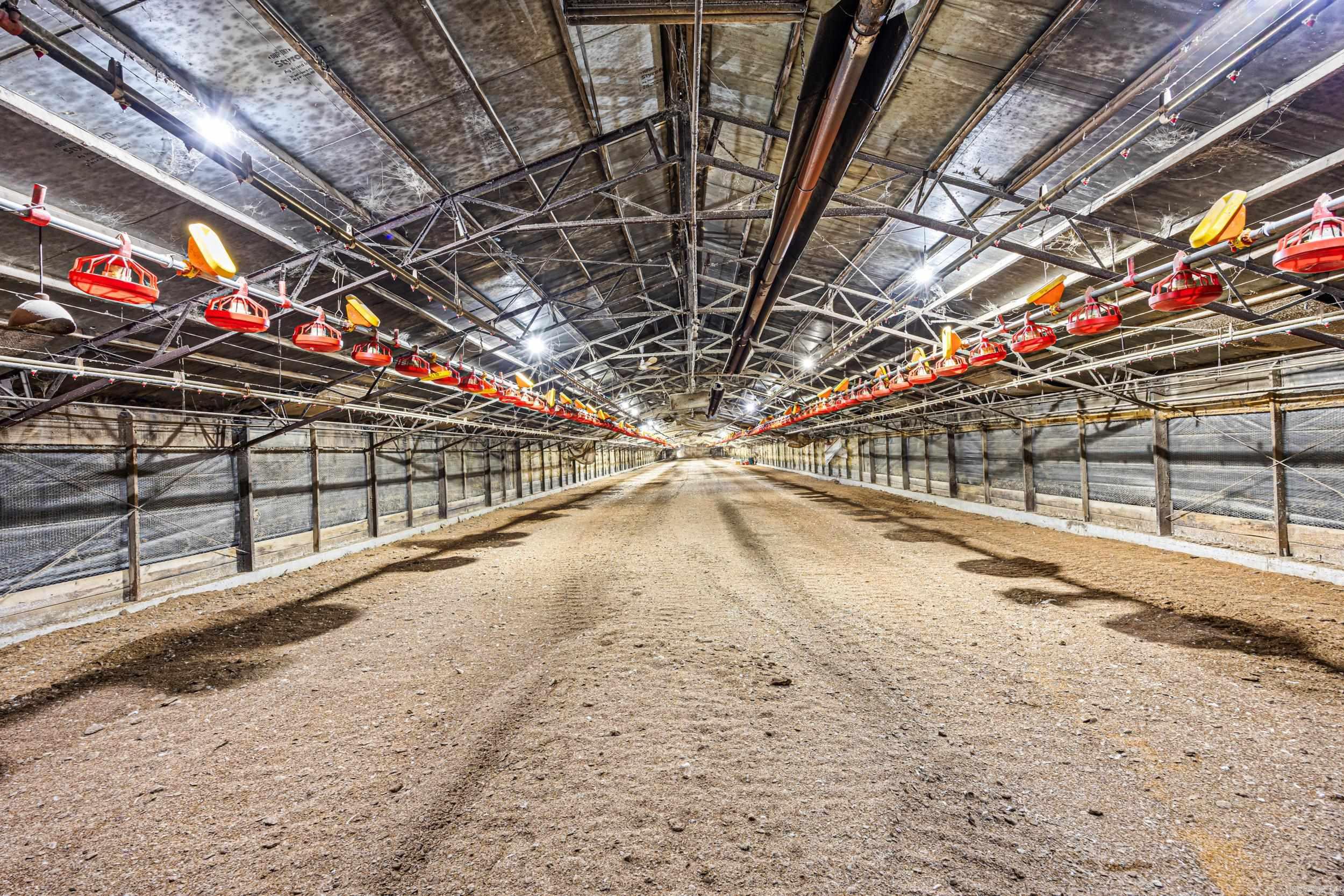 Metes & Bounds - Farm