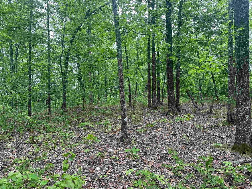 There are three beautiful 3-acre residential lots located on top of Beautiful Holly Mtn, with all major utilities at the road, located in rural Van Buren County, but only 7 minutes from all of Clinton's amenities and 14 minutes from beautiful Greers Ferry Lake. I'll add more info here by Monday, but these lots can also be bought with 15 to 20 % down owner financing. New pictures coming soon
