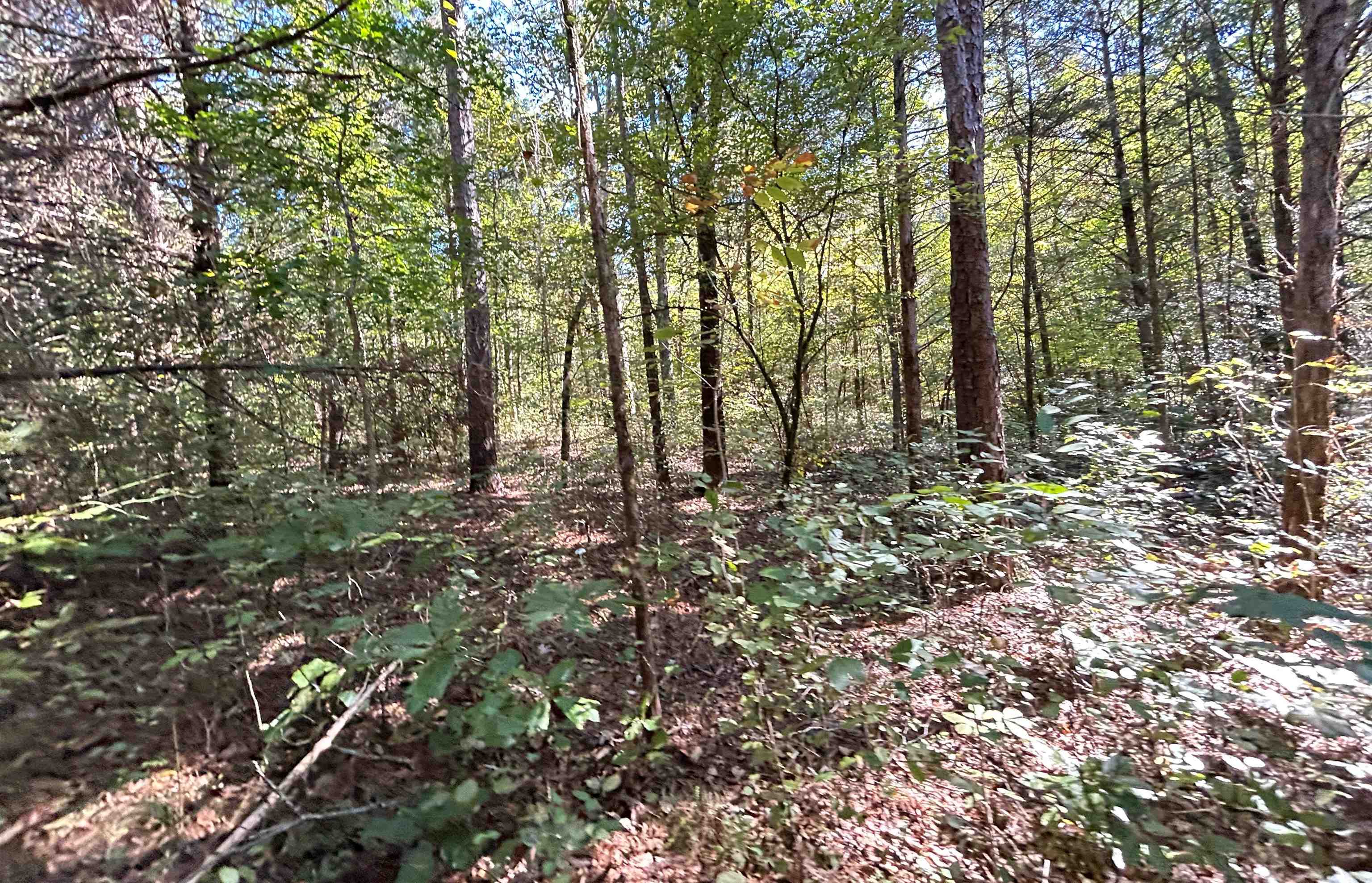 Metes & Bounds - Land