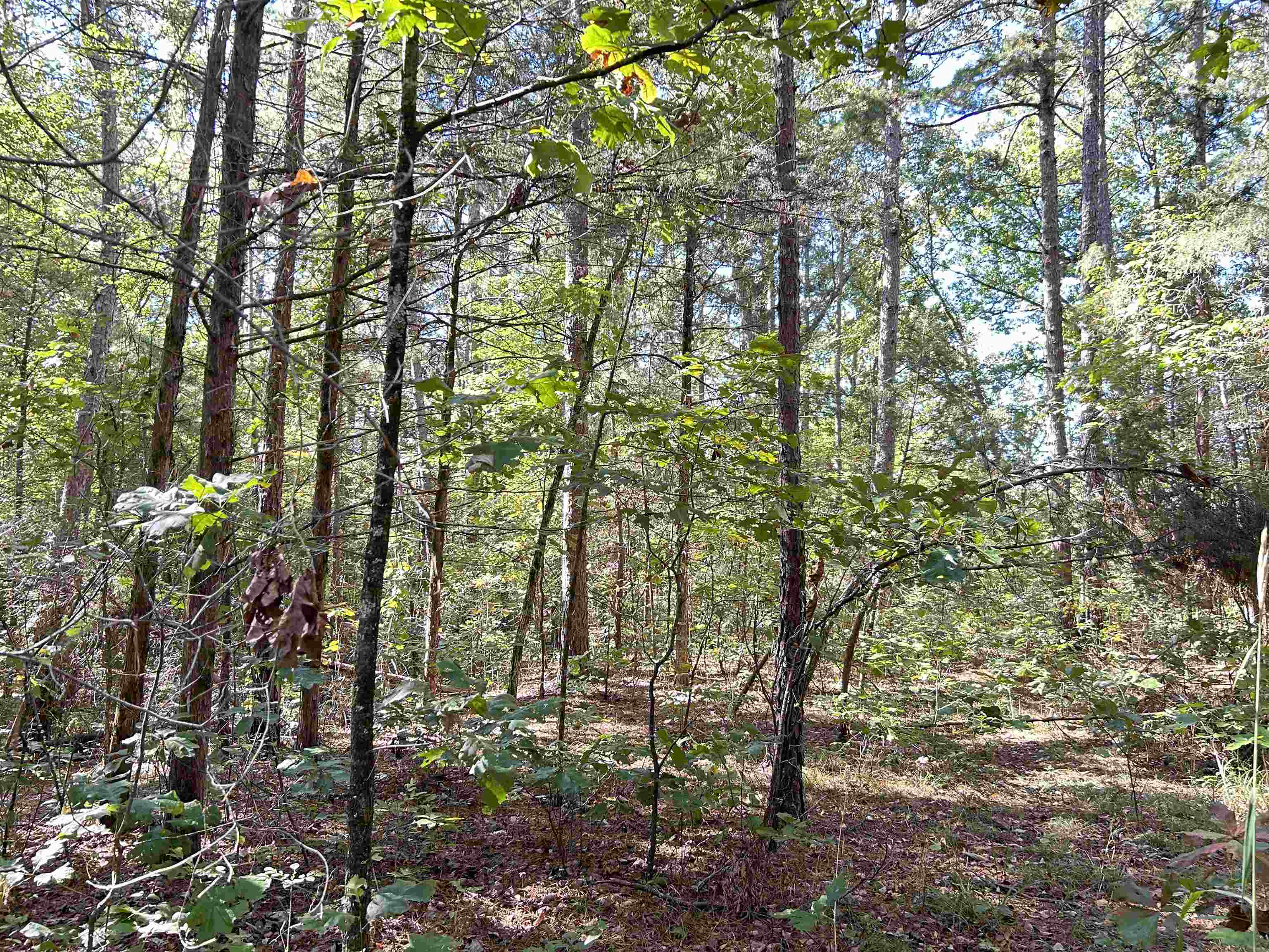 Metes & Bounds - Land