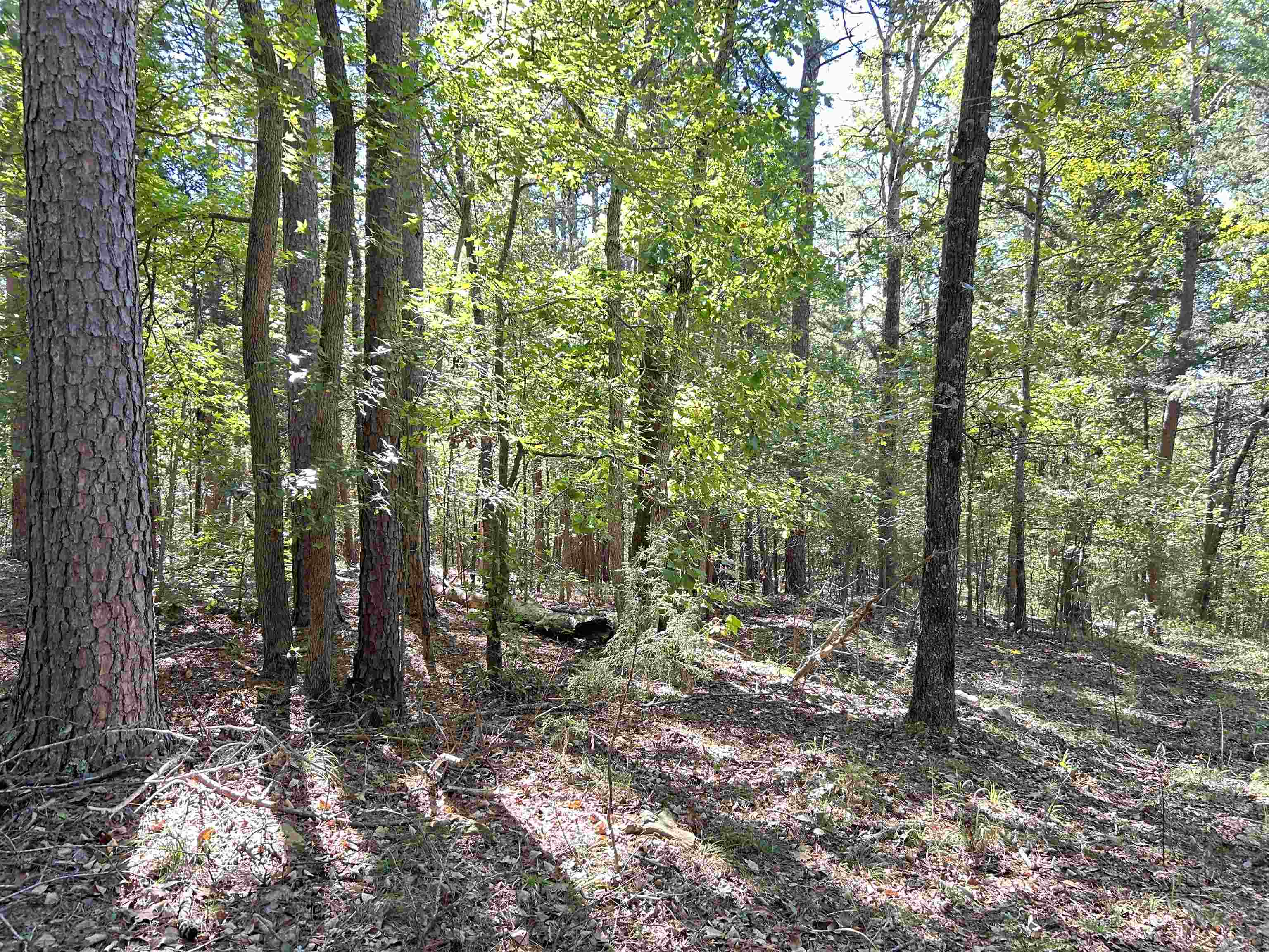 Metes & Bounds - Land