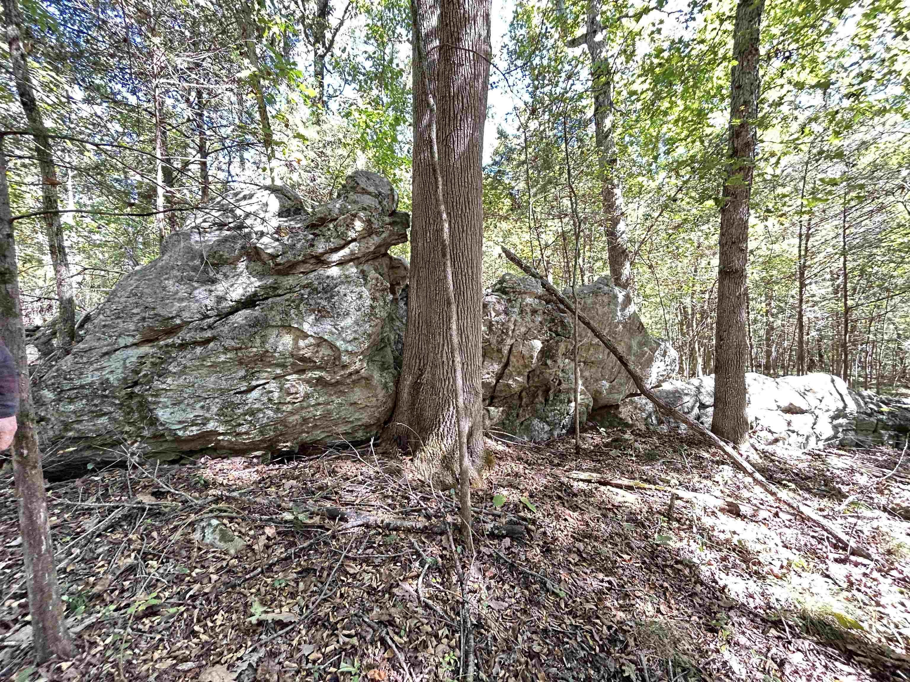 Metes & Bounds - Land