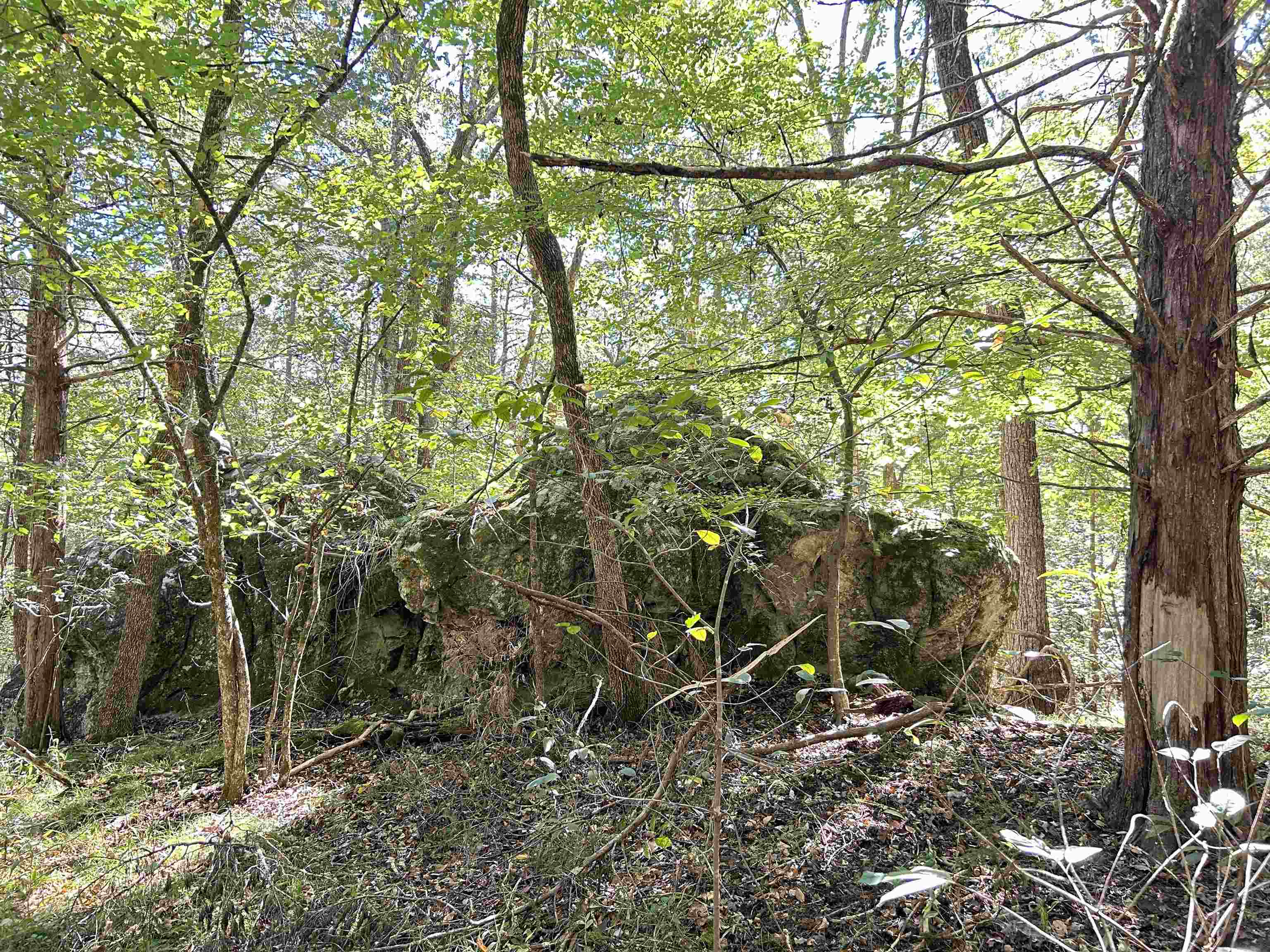 Metes & Bounds - Land