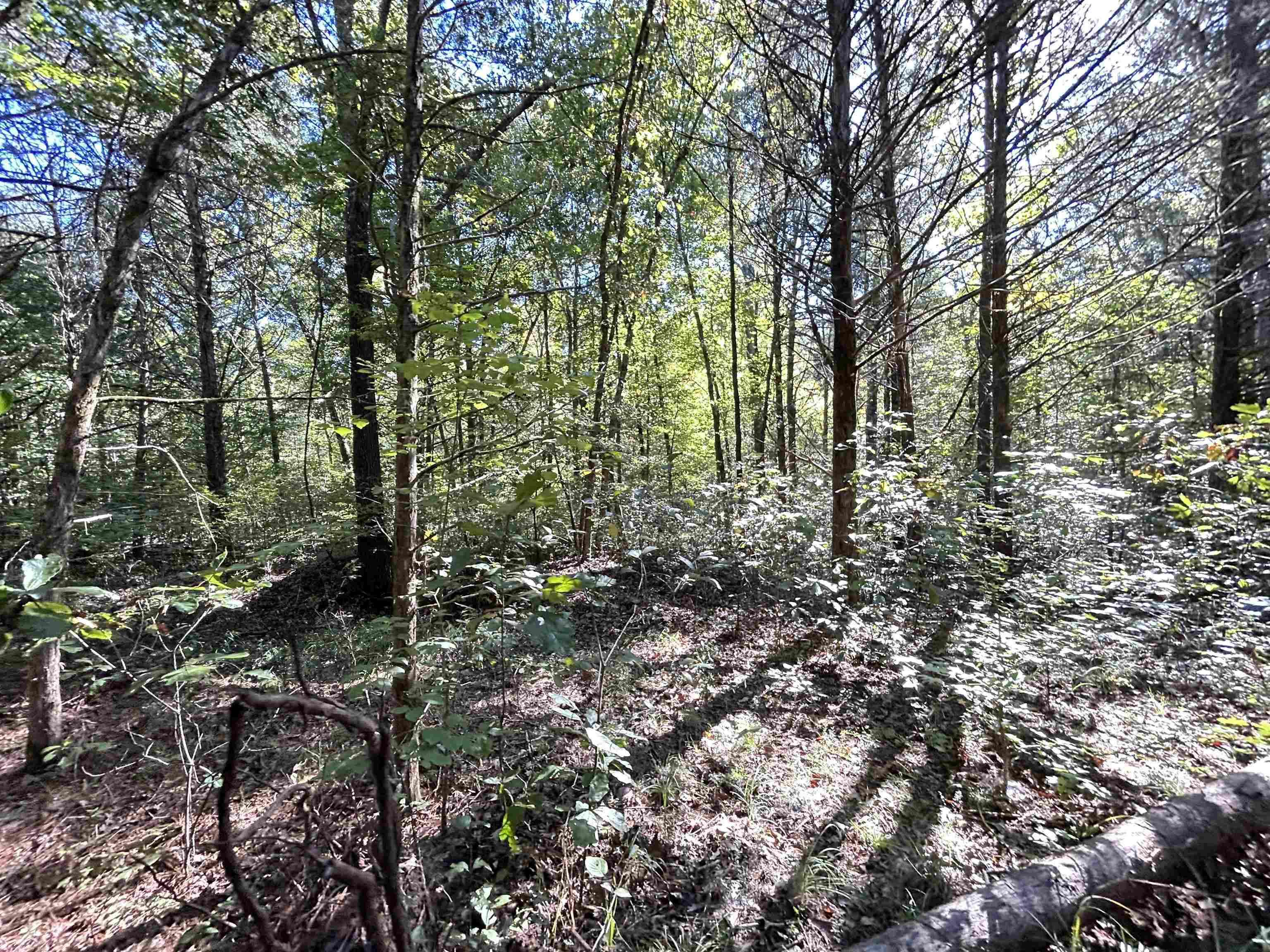 Metes & Bounds - Land