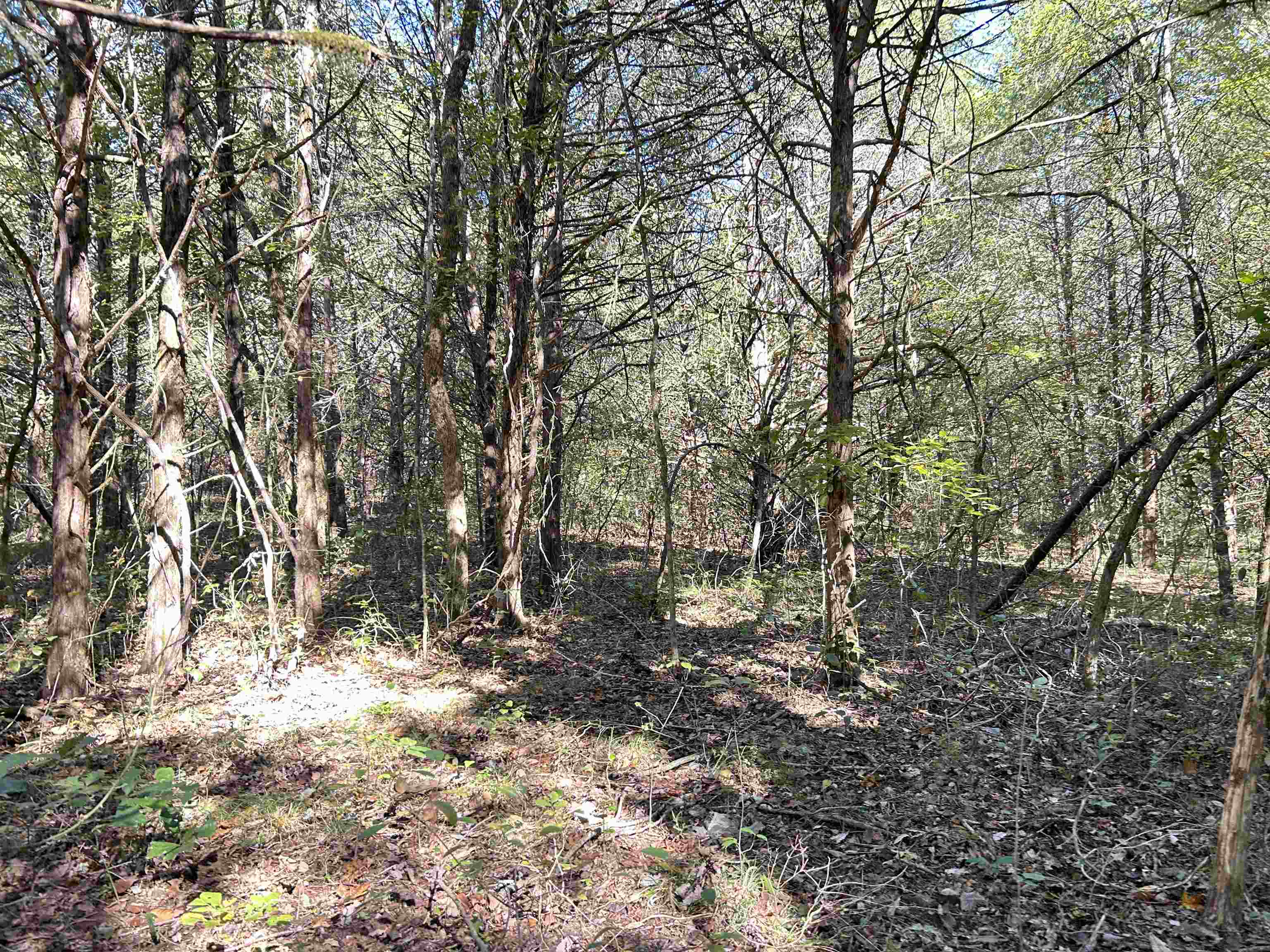 Metes & Bounds - Land