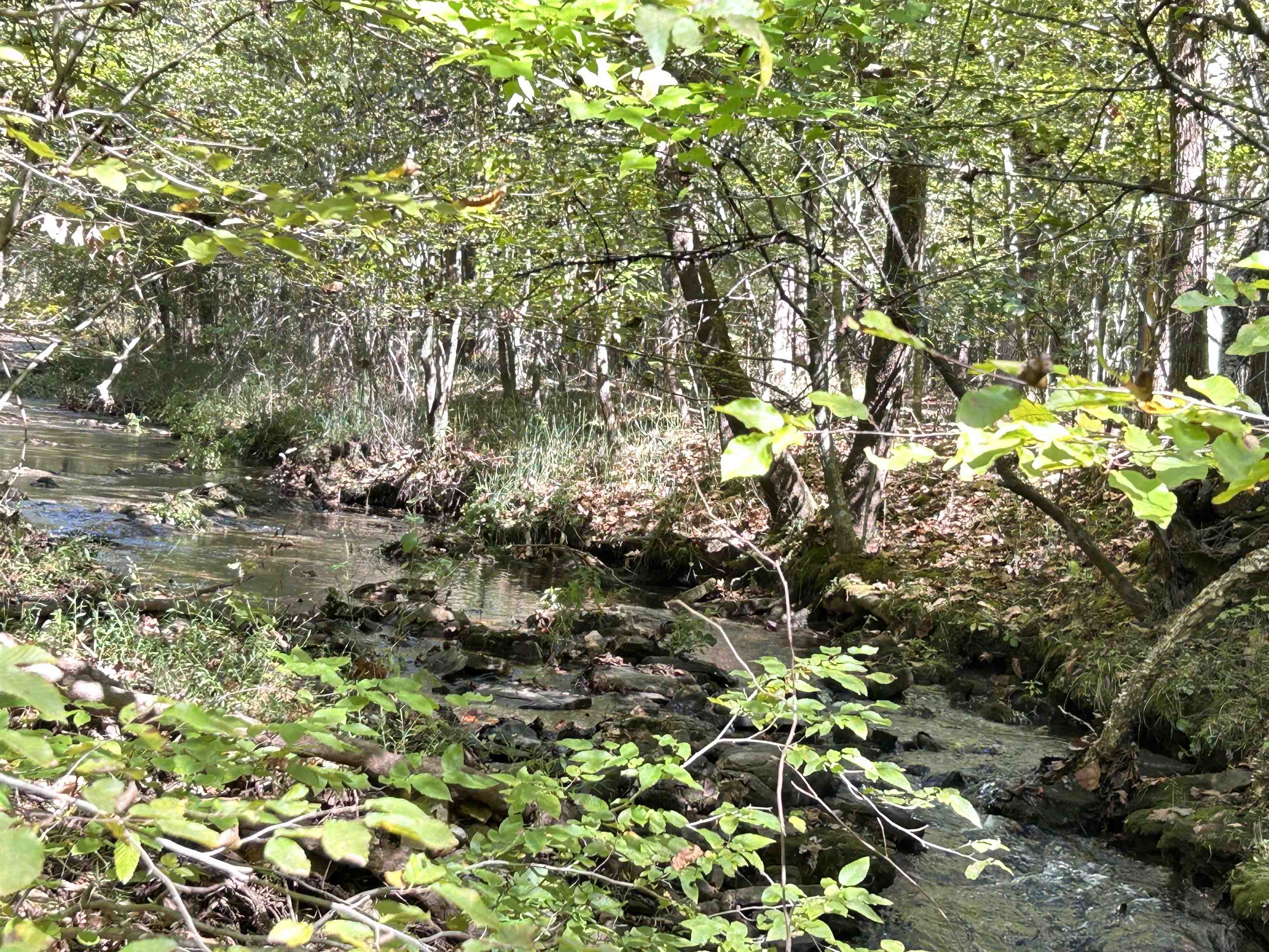 Metes & Bounds - Land