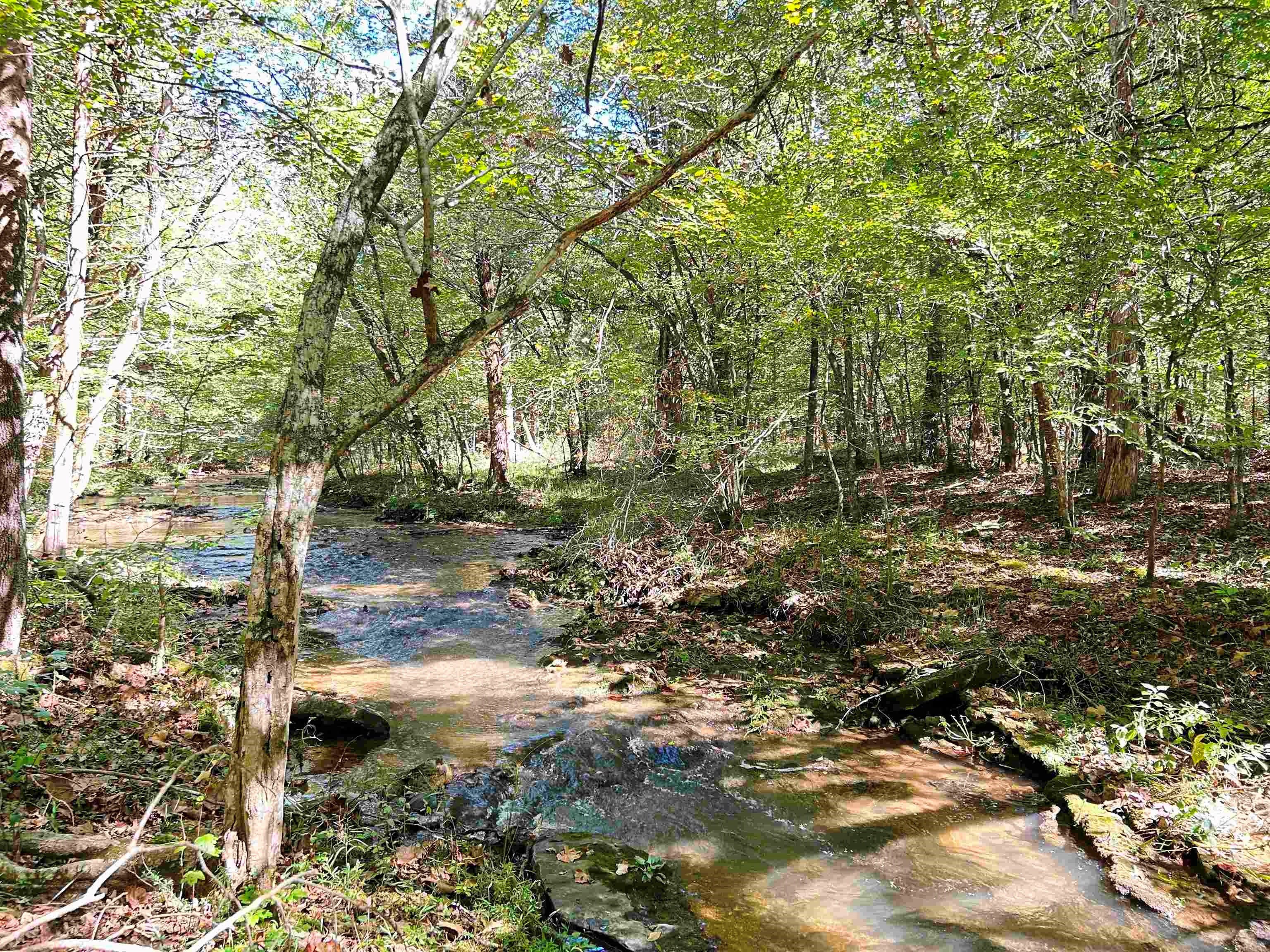 Metes & Bounds - Land