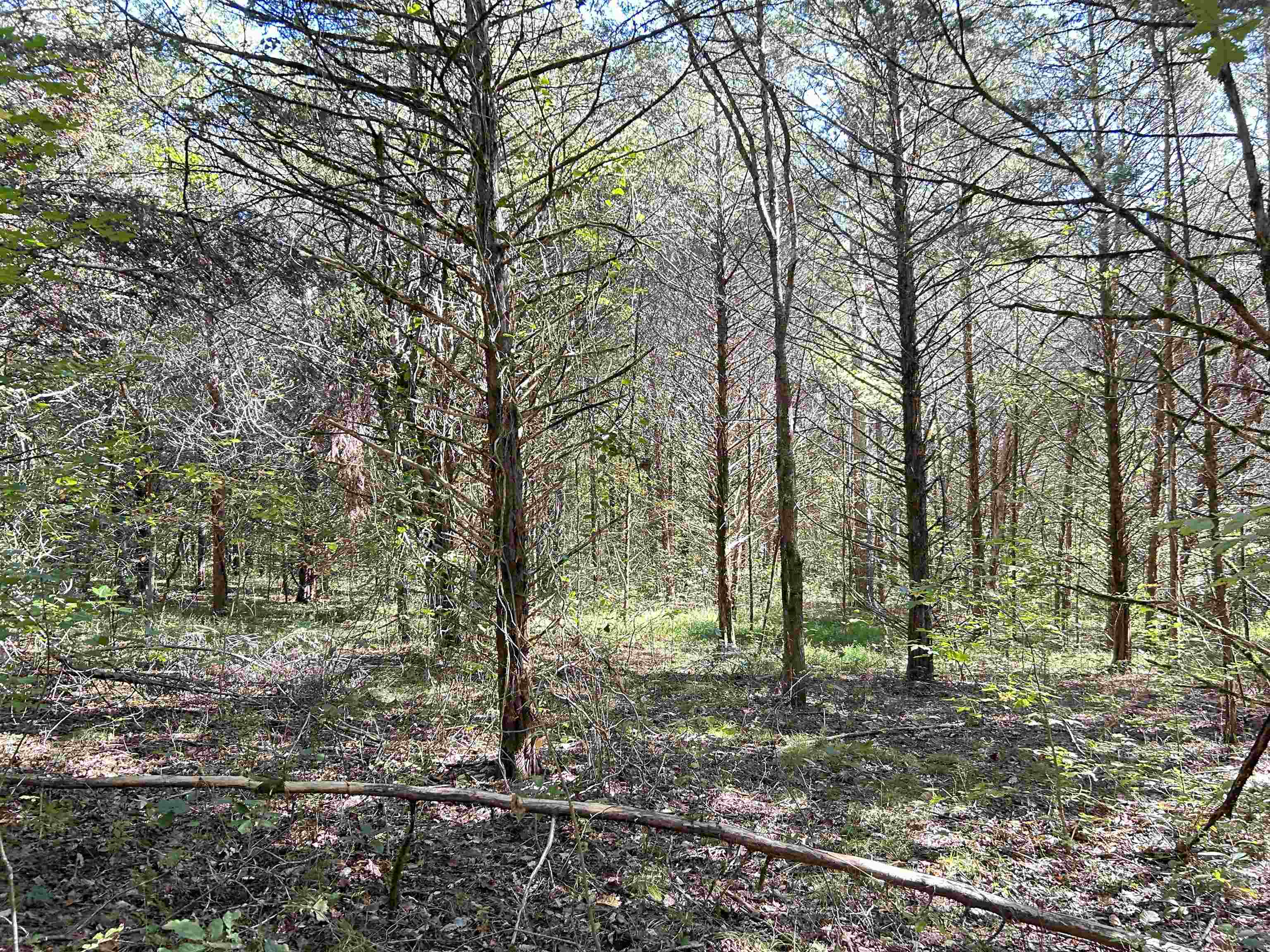 Metes & Bounds - Land