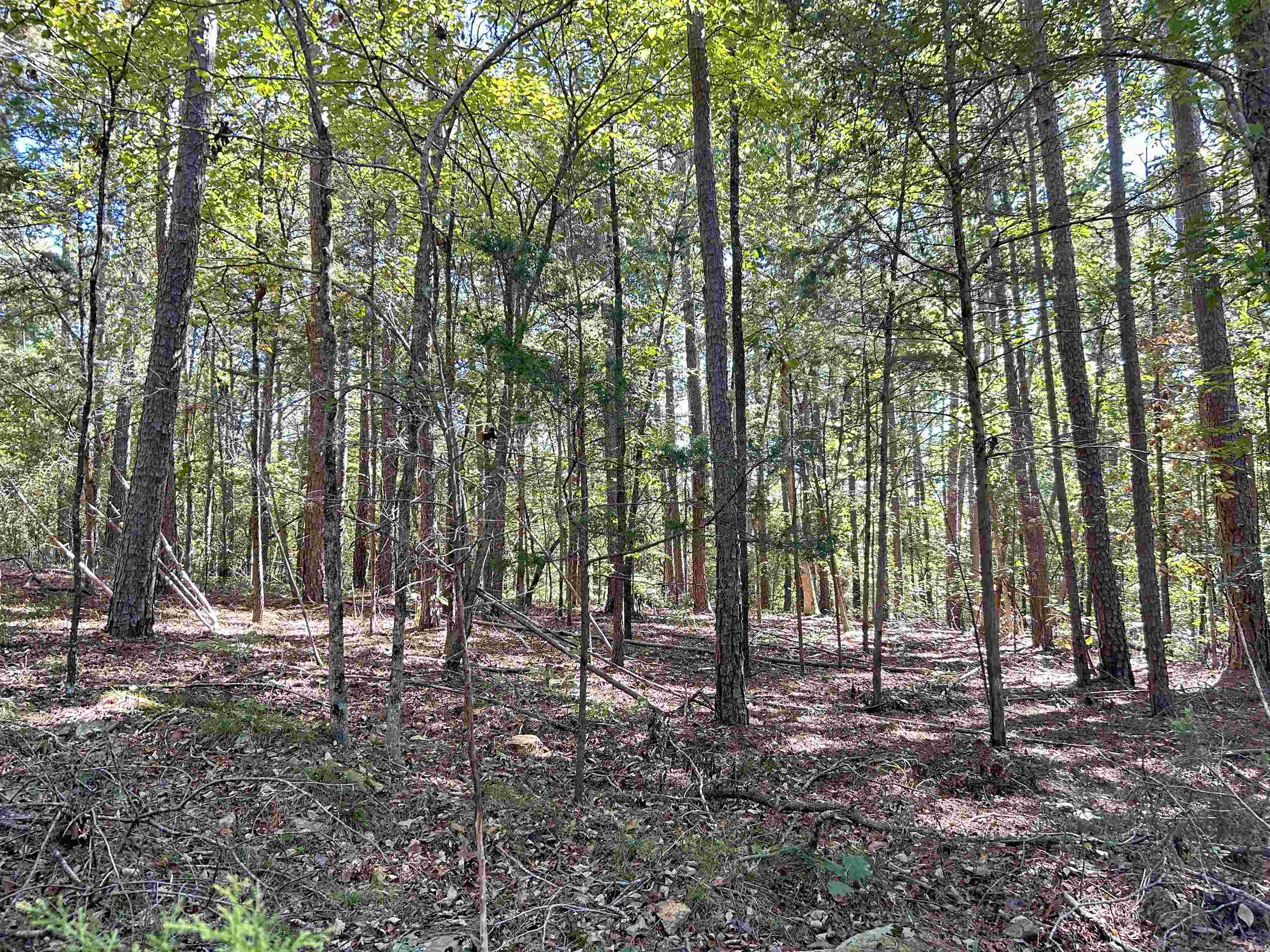 Metes & Bounds - Land