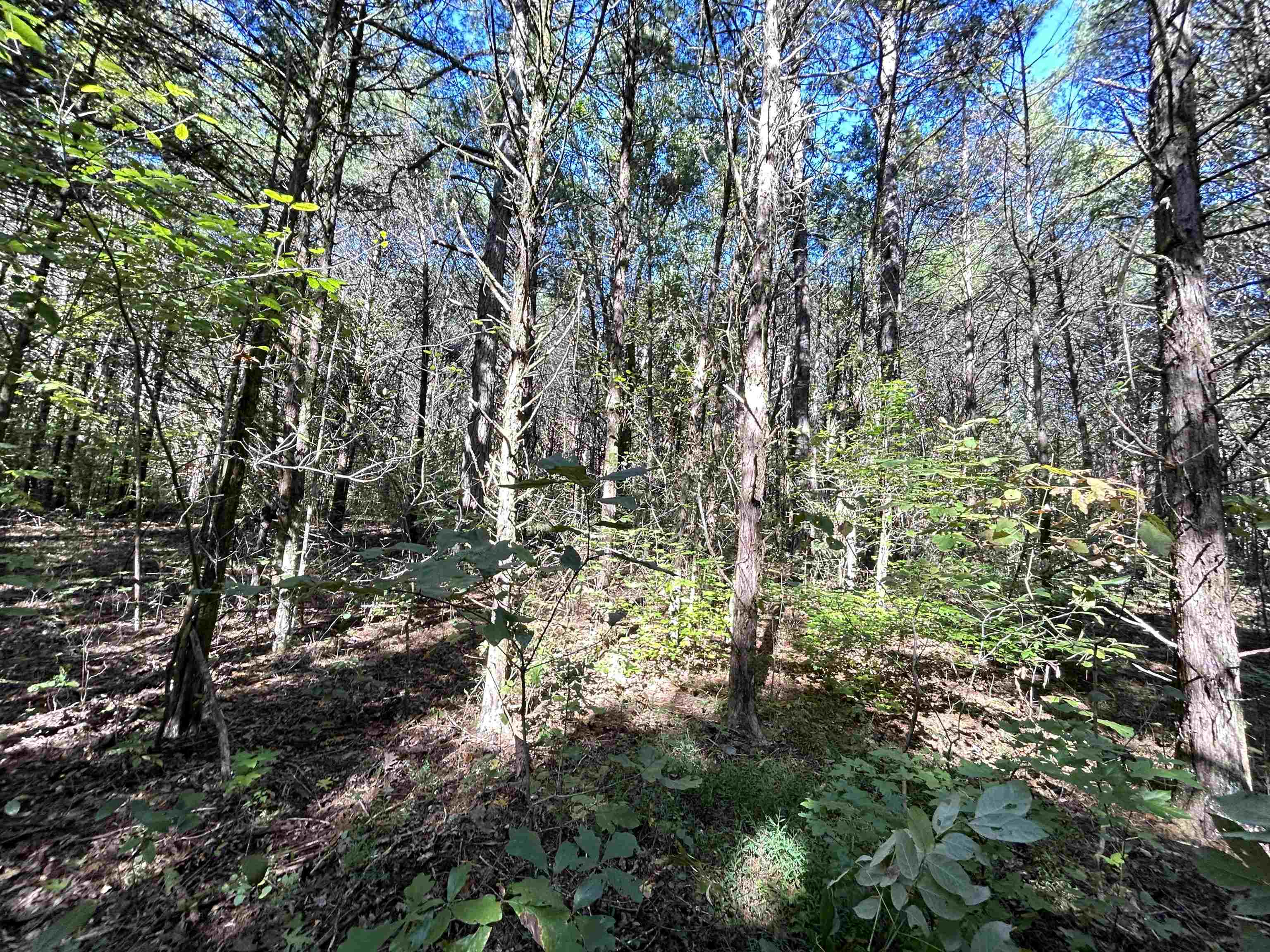 Metes & Bounds - Land