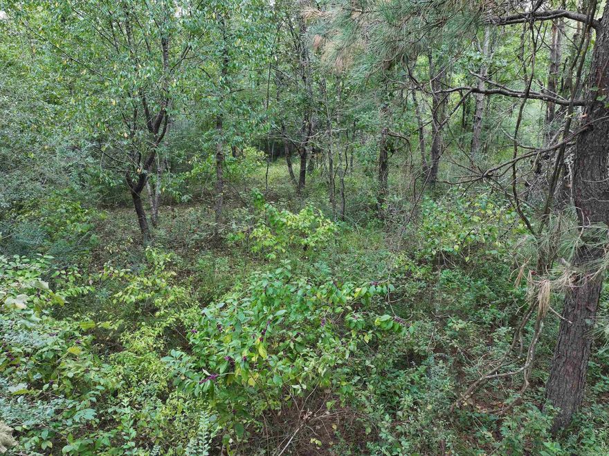 Discover this versatile 67+/- acre property in Bismarck, Arkansas, offering a mix of natural beauty and accessibility. Mostly wooded with a private pond, this land provides endless opportunities—whether you’re seeking a private retreat, hunting land, or a future home site.  The property is ideally located just minutes from Interstate 30, making it convenient for commuting, while still providing a private atomosphere. You’ll also enjoy being a short drive from Lake DeGray and Hot Springs, giving you access to both outdoor recreation and city amenities.  With its combination of location, size, and natural features, this property is a rare find in today’s market.