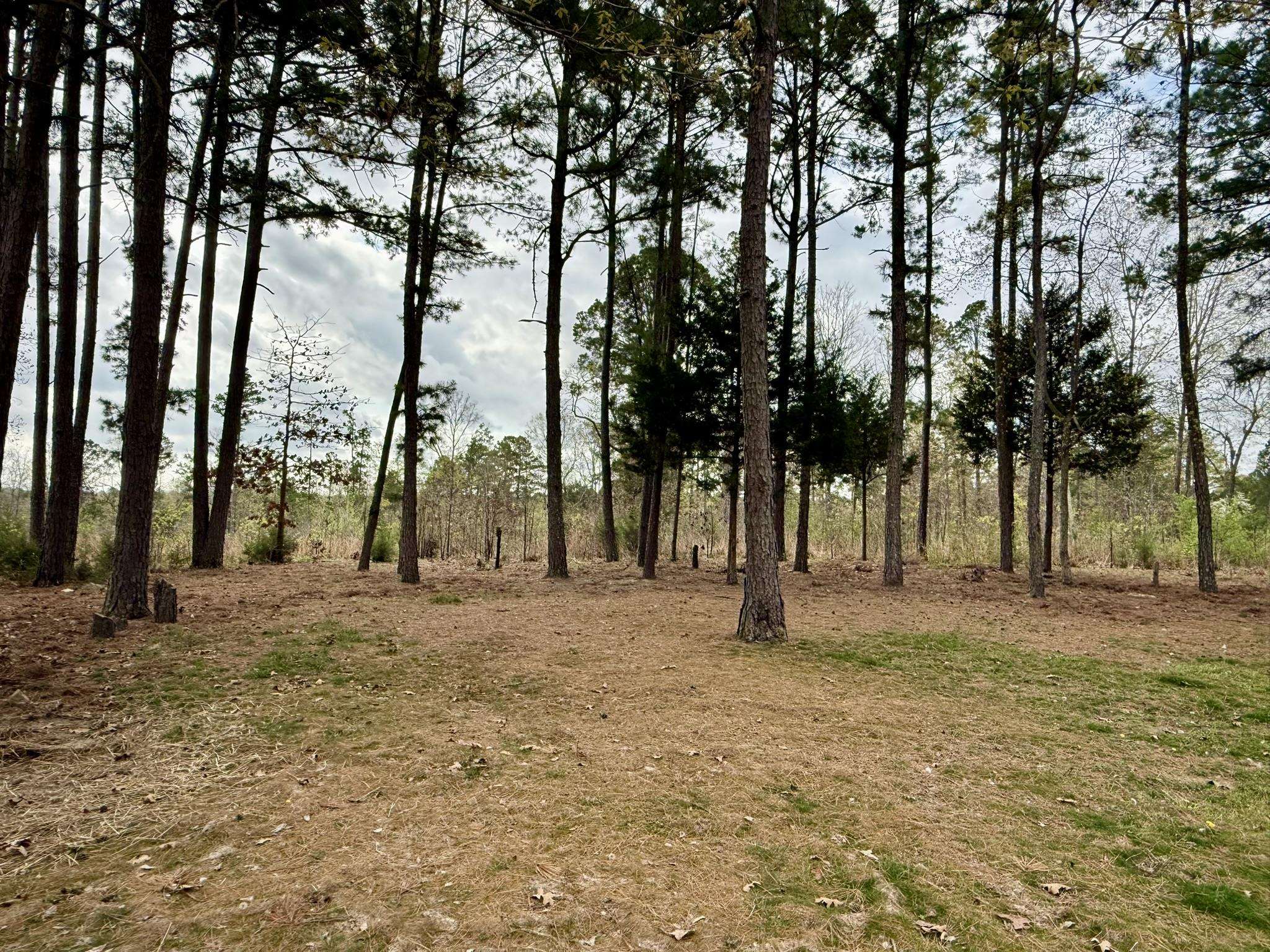 Pleasant Ridge Estates - Residential