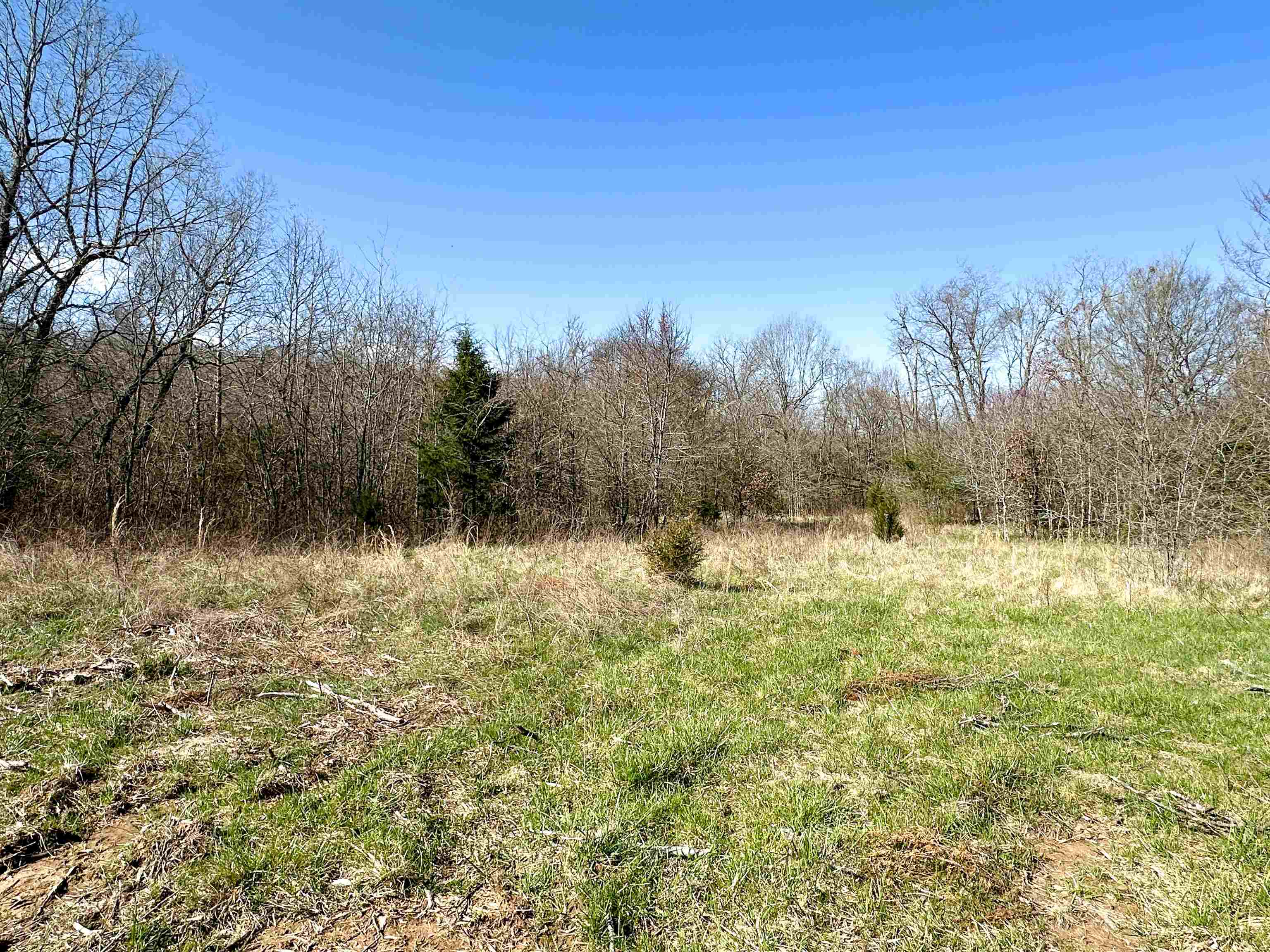 This, recently surveyed, approx 28 acre parcel contains several possible home sites with both paved and gravel road frontage allowing for convenient access to the property. Perfect location for your hunting cabin getaway as well! Electricity and high speed internet available at the highway. Located between Hardy and Mammoth Spring Arkansas at the base of the Ozark Foot Hills, with the amenities of town just a few minutes down the road.