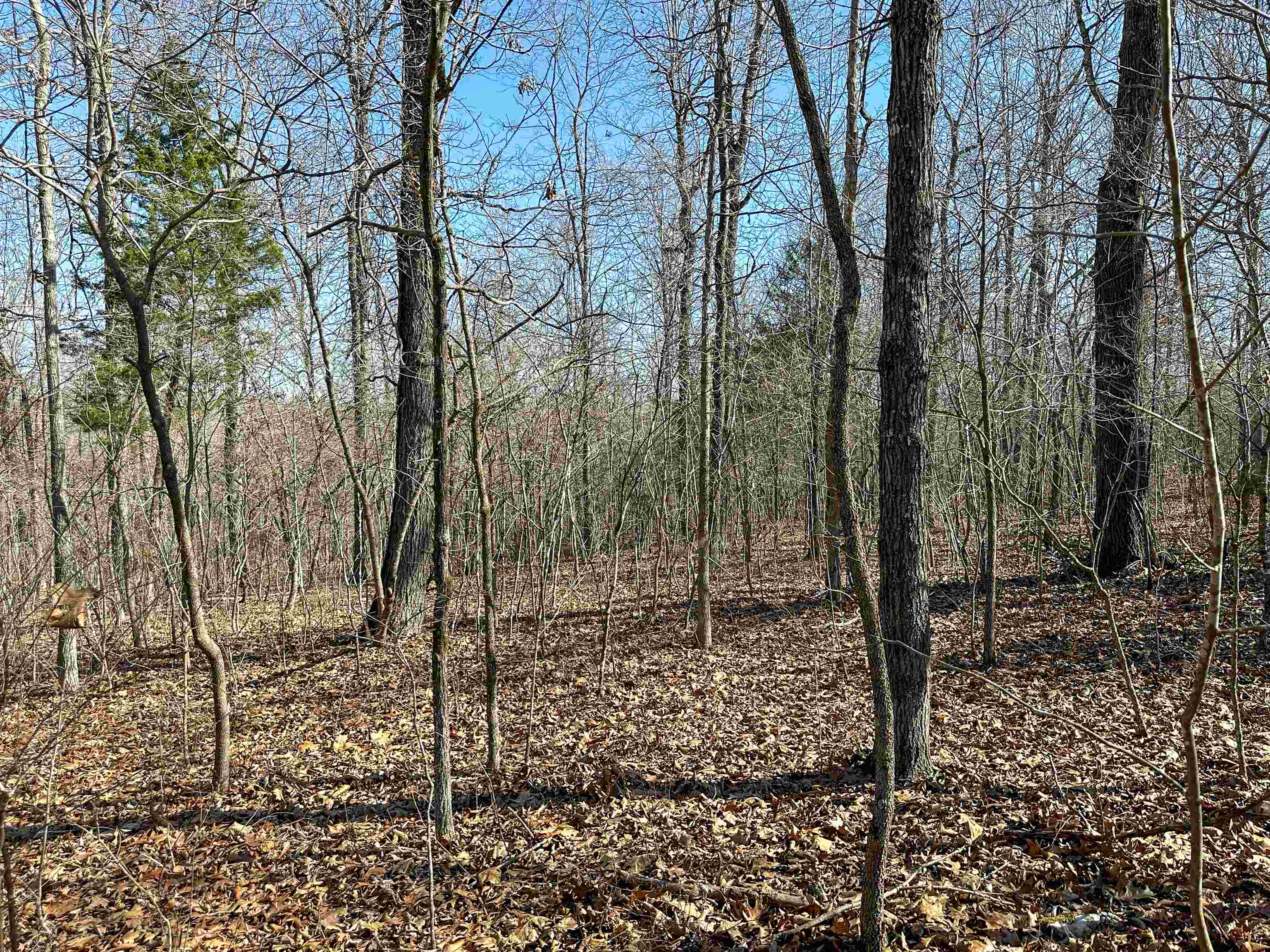 Metes & Bounds - Land