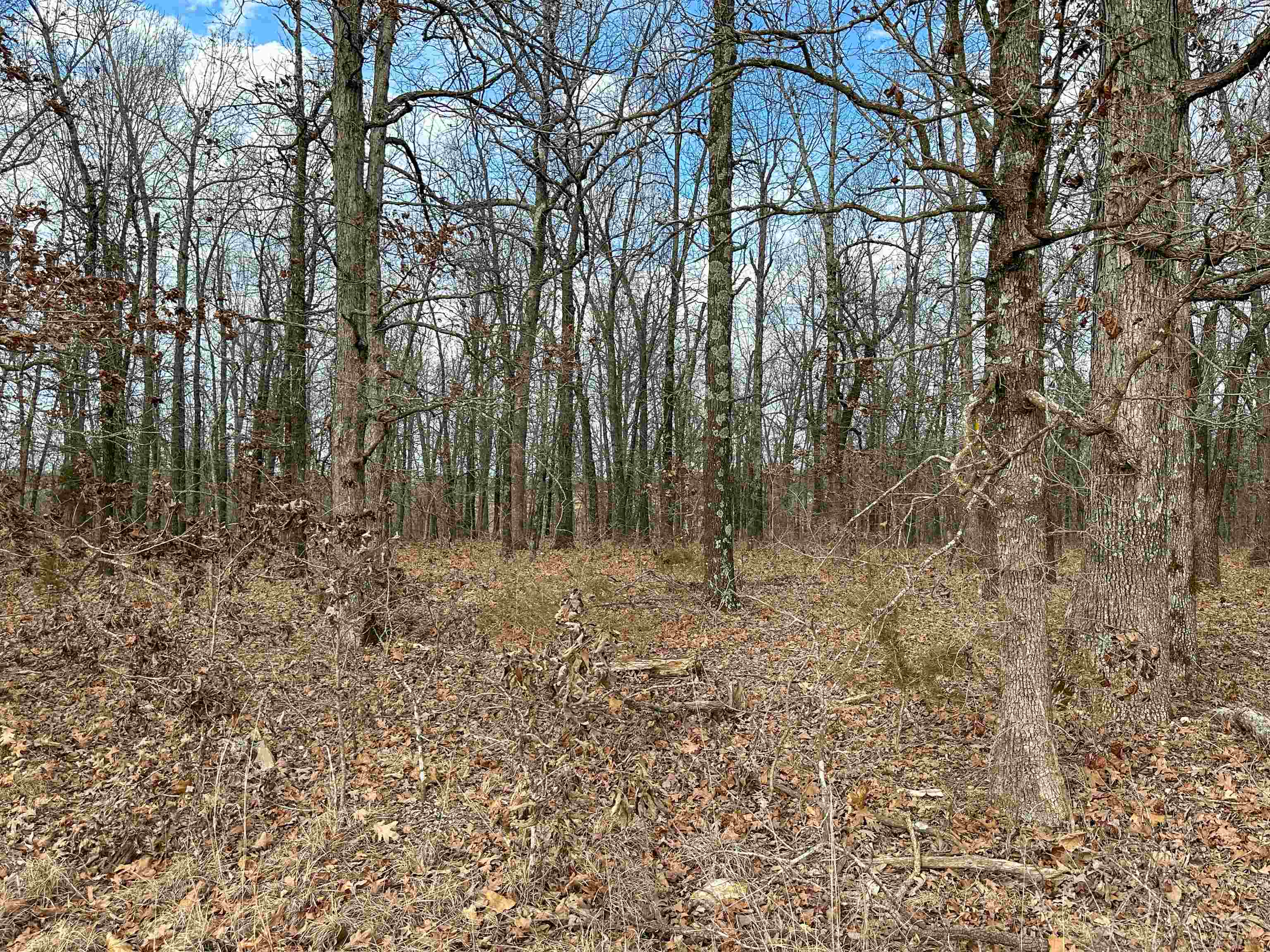 Metes & Bounds - Land