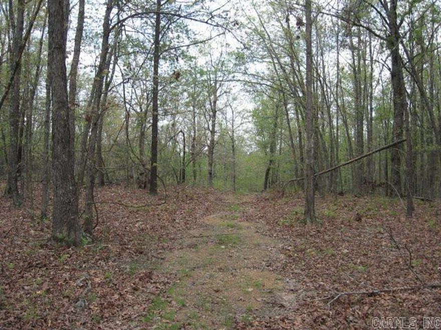 Timbered Acreage at the end of the road and off the grid.  Wooded land, covered with mostly hardwoods - some pine.  Higher ridges for some good building sites.  A lower area should make a good pond site.  Joins Weyerhauser on the west.  Good location for a private home or getaway cabin in a secluded location.  Lots of deer in this area of Polk County, as well as turkey.  Take pride in owning your own property in Arkansas.  50% of mineral rights convey.  Priced under $1600 per acre.