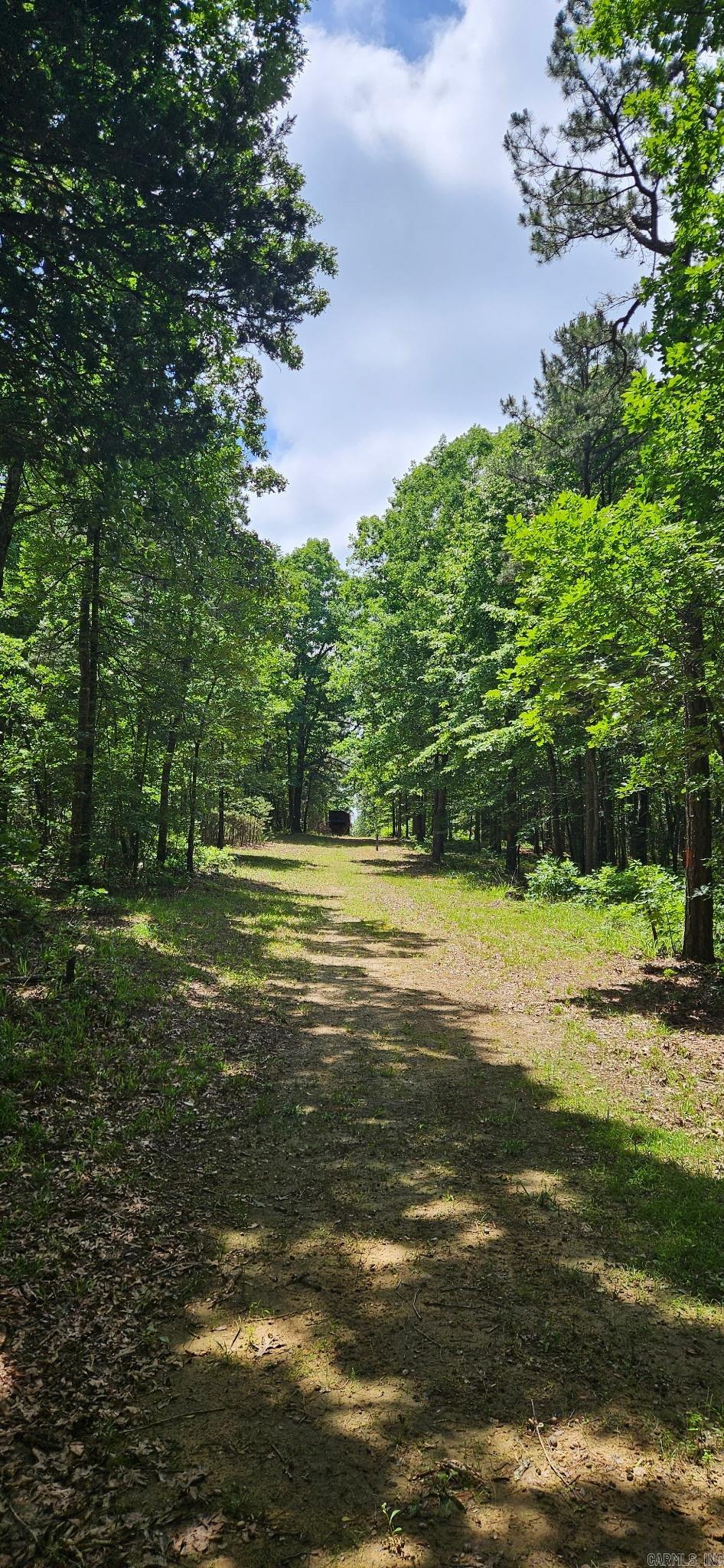 REECE CREEK - Residential