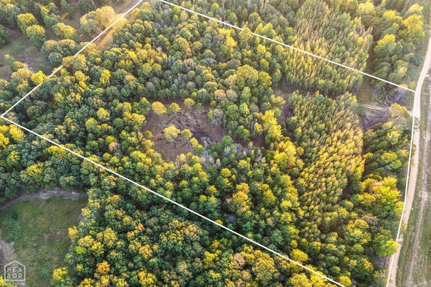 Located conveniently between Paragould and Jonesboro, this 9.57 Acres +/- wooded is ready to build your dream home on. A driveway has been cut in and a gorgeous building site has been cleared. Water and electric are both available. Current soil percolation test on available. Survey available.