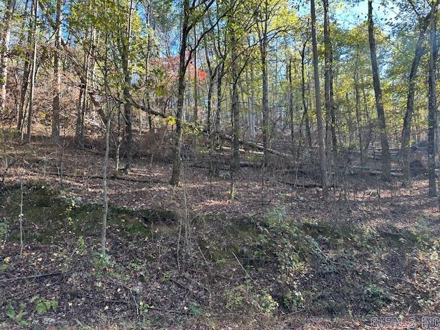 Wooded lot across the street from Isabella golf course.