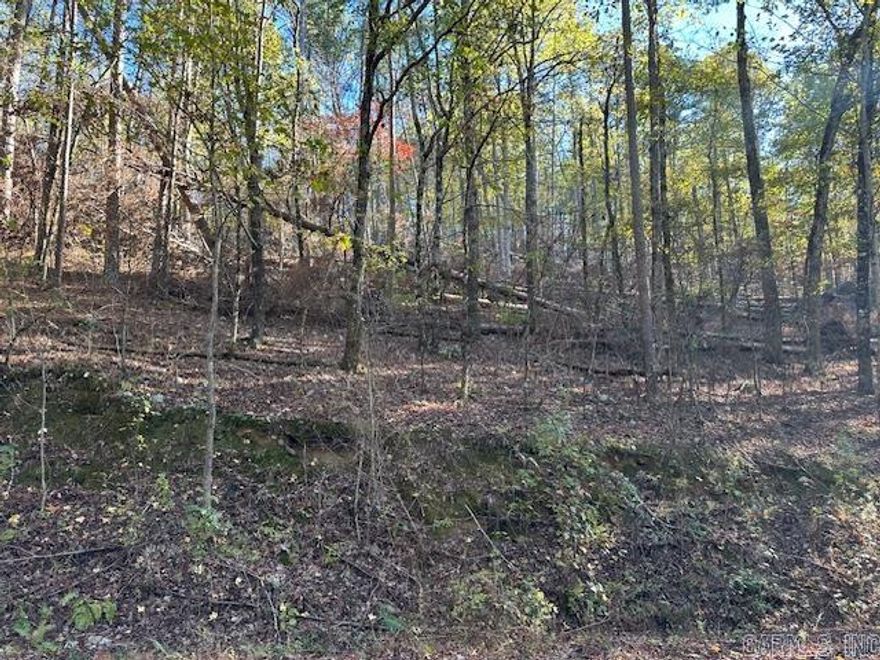 Wooded lot across the street from Isabella golf course.