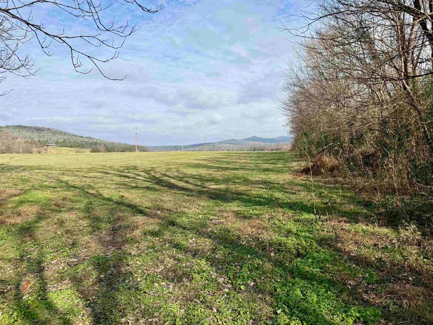 This 1-acre riverfront property is for sale on a private road in the River Oaks Subdivision near Mountain View, Arkansas. Featuring approximately 125 feet of prime White River frontage, this property offers direct access to one of Arkansas’s best trout fishing and boating areas.  The land includes a newly drilled well providing an abundant water supply, a Health Department-approved septic system already installed, and electric service available—making it ready for your dream cabin or riverfront home. The property has a gentle slope down to the water’s edge, surrounded by mature timber that provides shade, privacy, and natural beauty along the riverbank. It’s ideally located just 2.5 miles north of Angler’s Restaurant and Trout Dock and only 1.5 miles north of JoJo’s Restaurant and Jack’s Trout Dock on Highway 5.  Whether you’re looking for a recreational getaway, a fishing retreat, or a building site, this White River property near Mountain View, AR, is a rare find. Offered at $99,500, this 1 acre tract is ready for your next adventure on the White River.