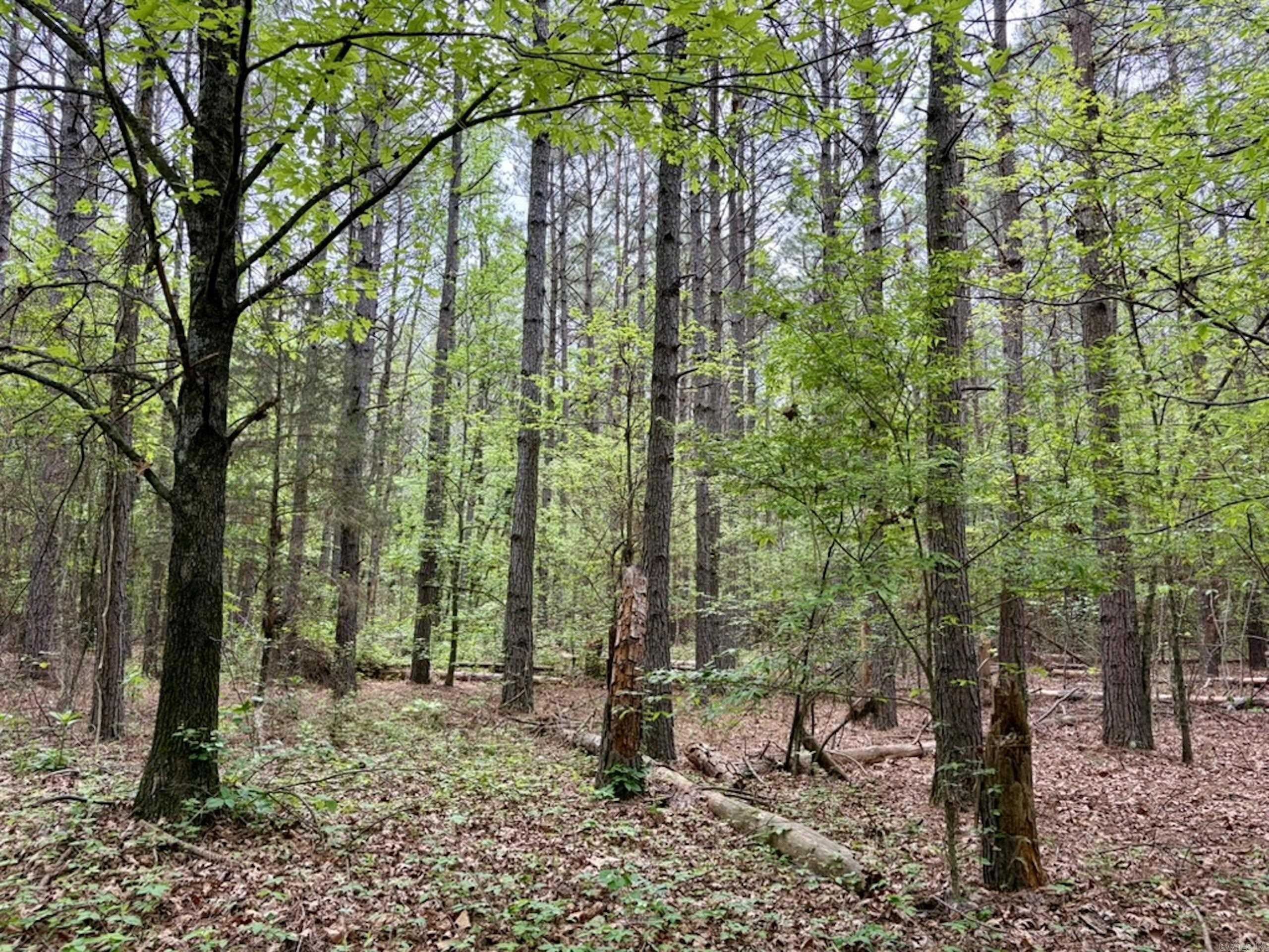 Not in Subdivision - Land