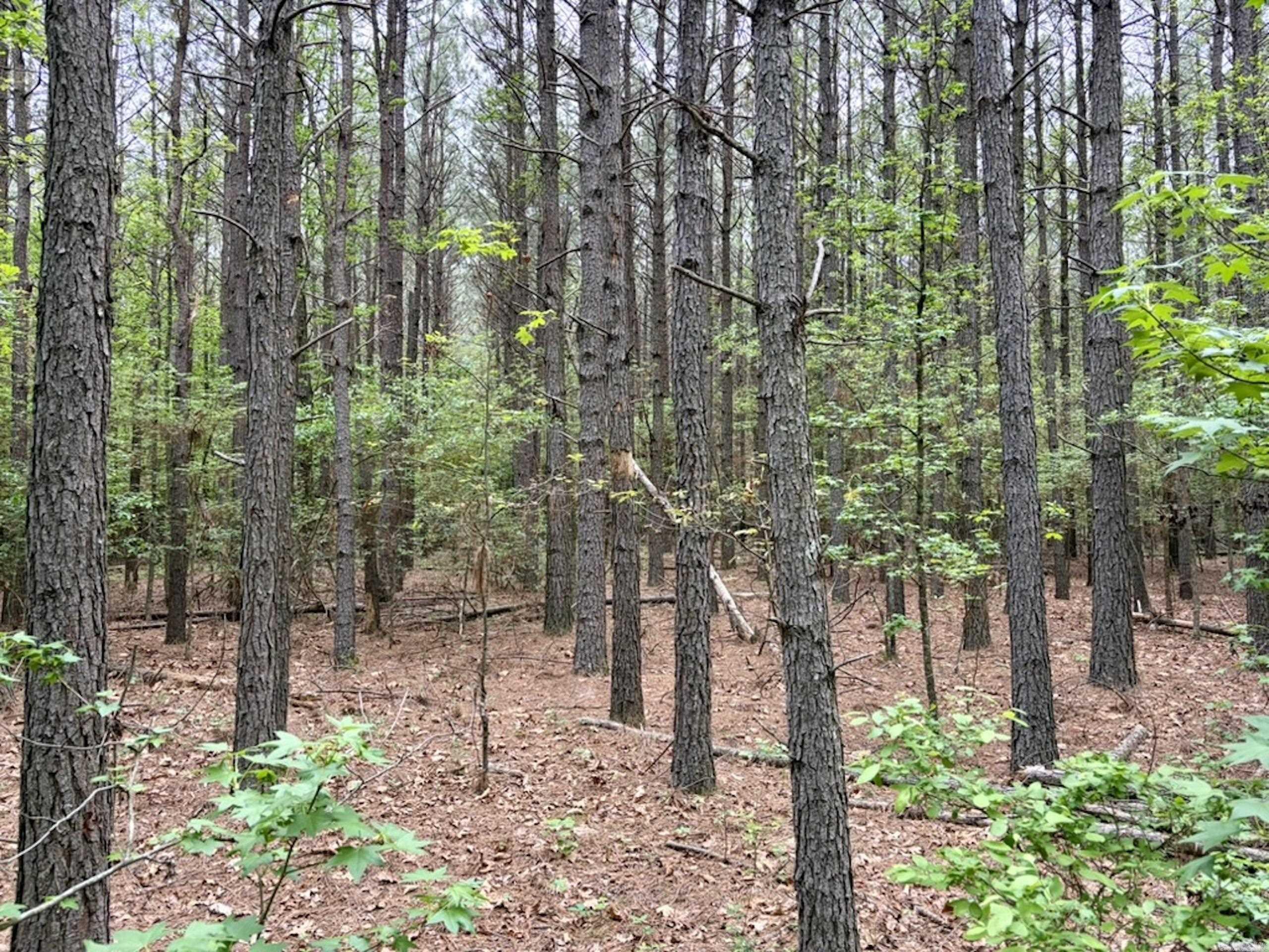 Not in Subdivision - Land