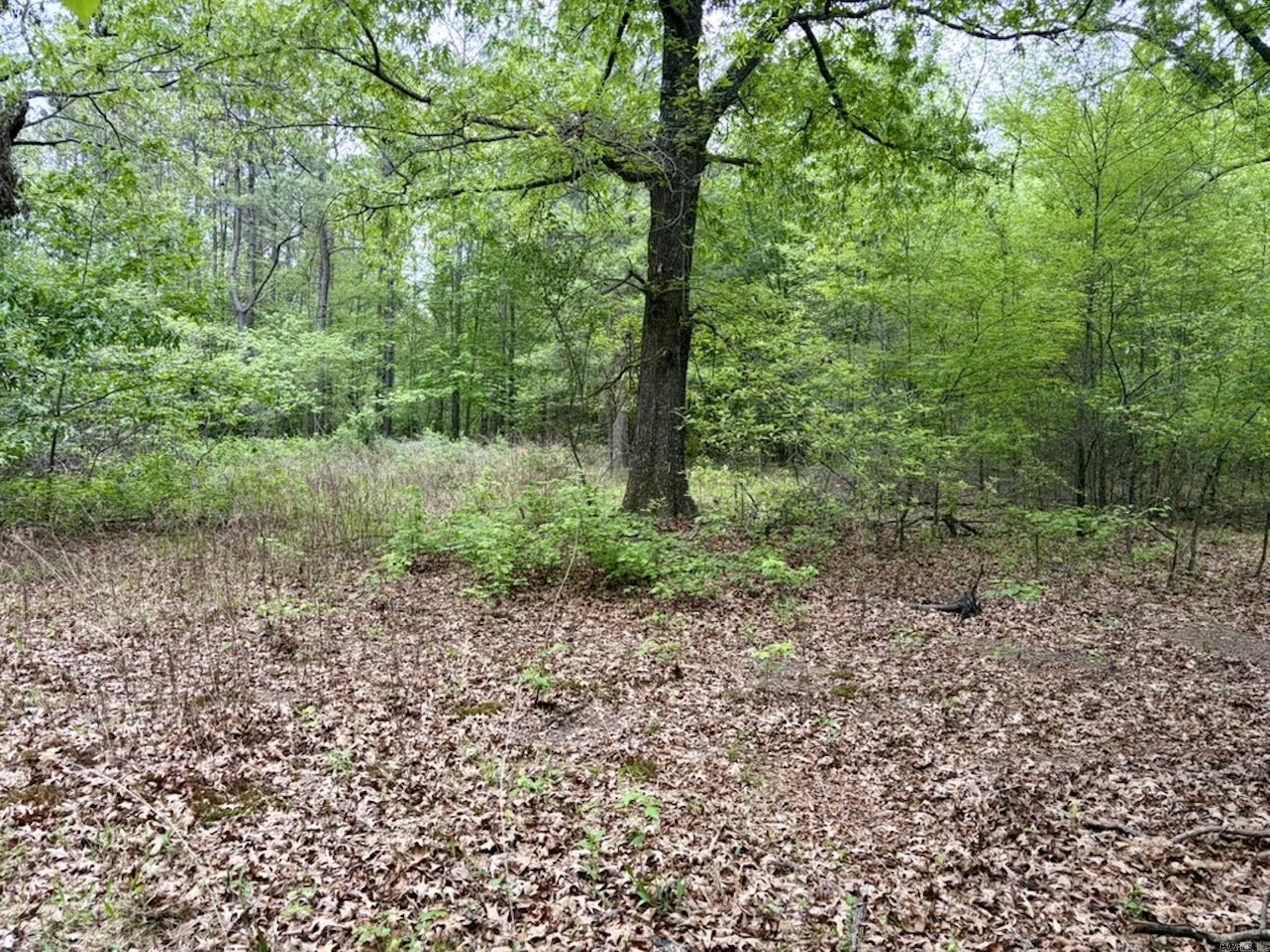 Not in Subdivision - Land