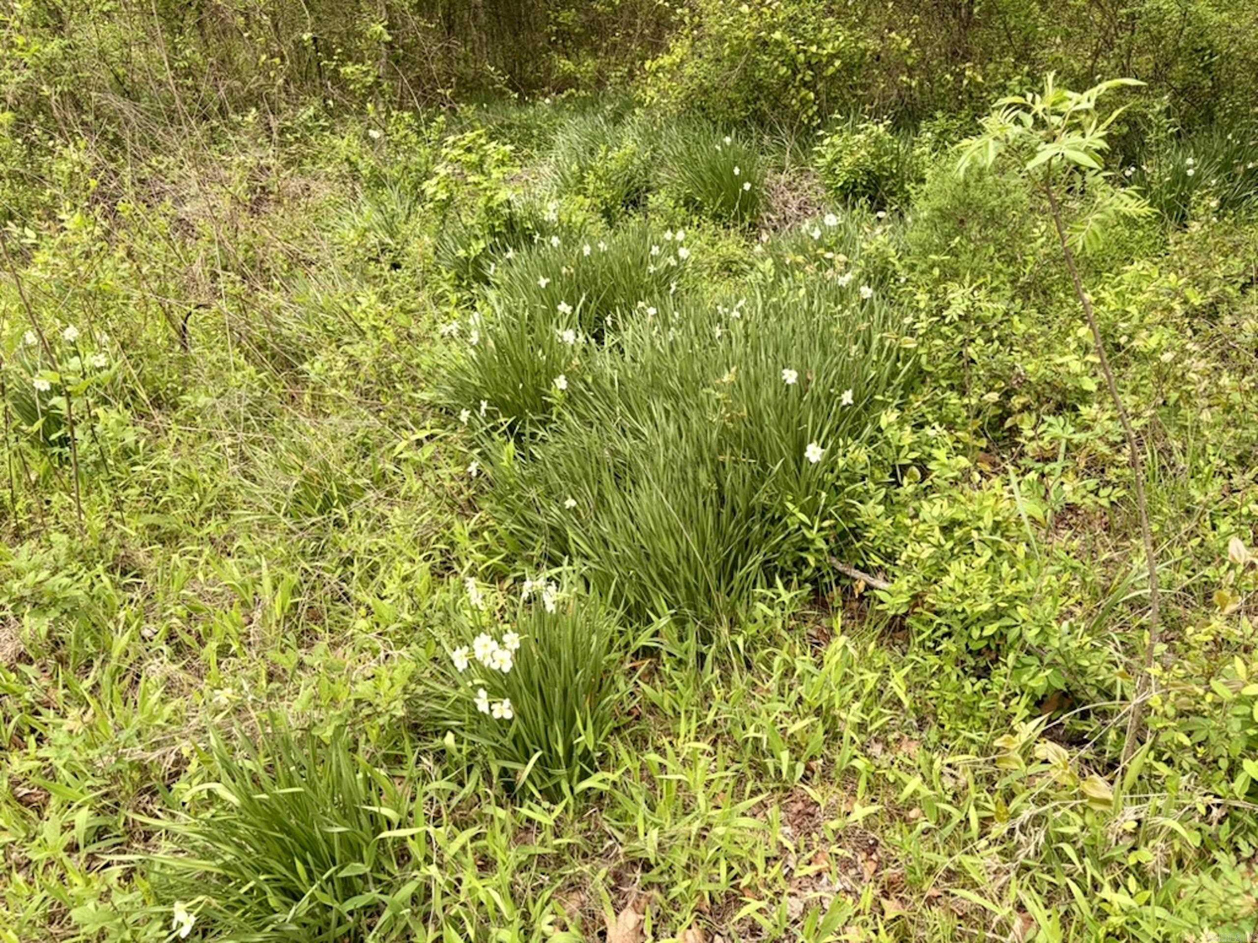 Not in Subdivision - Land