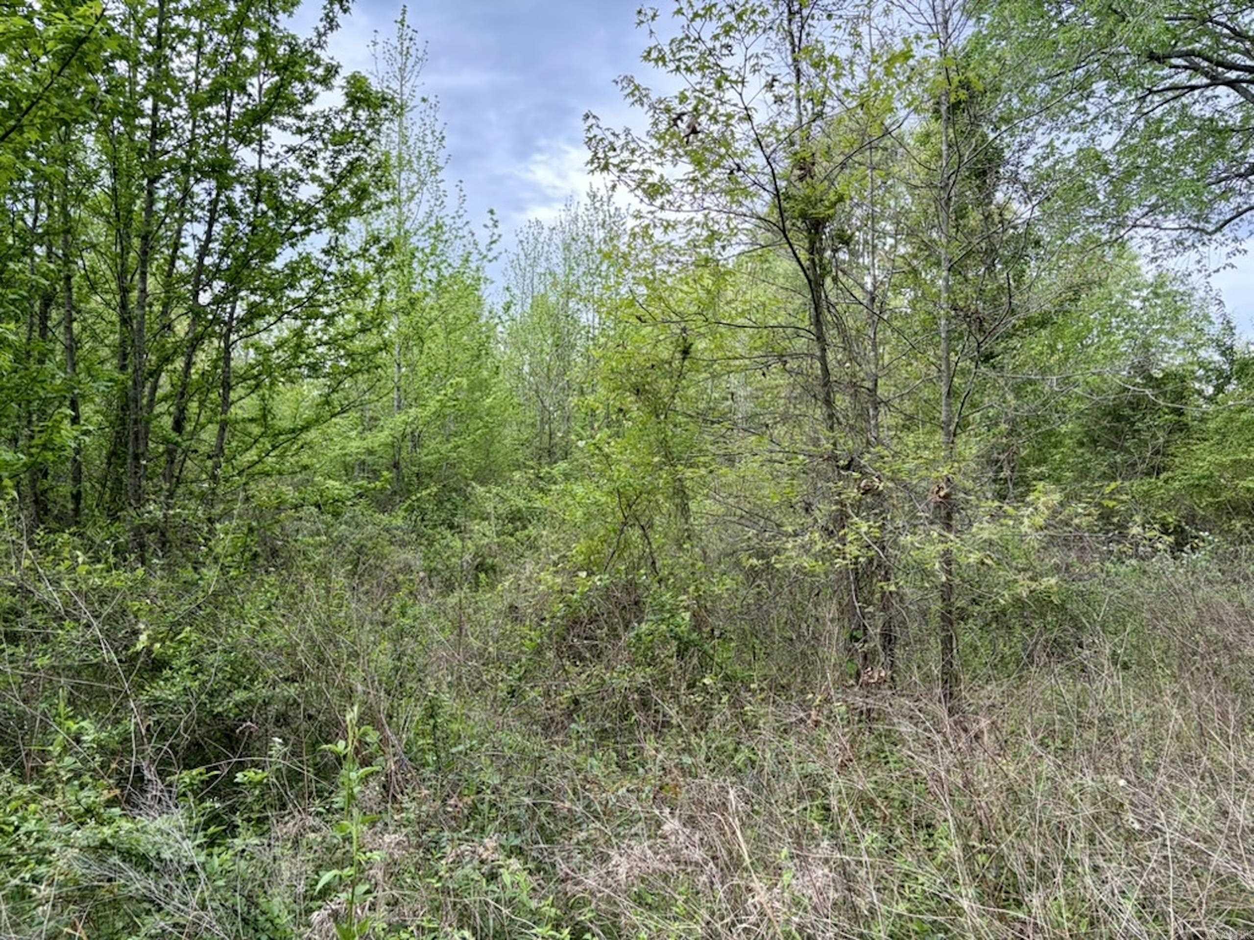 Not in Subdivision - Land