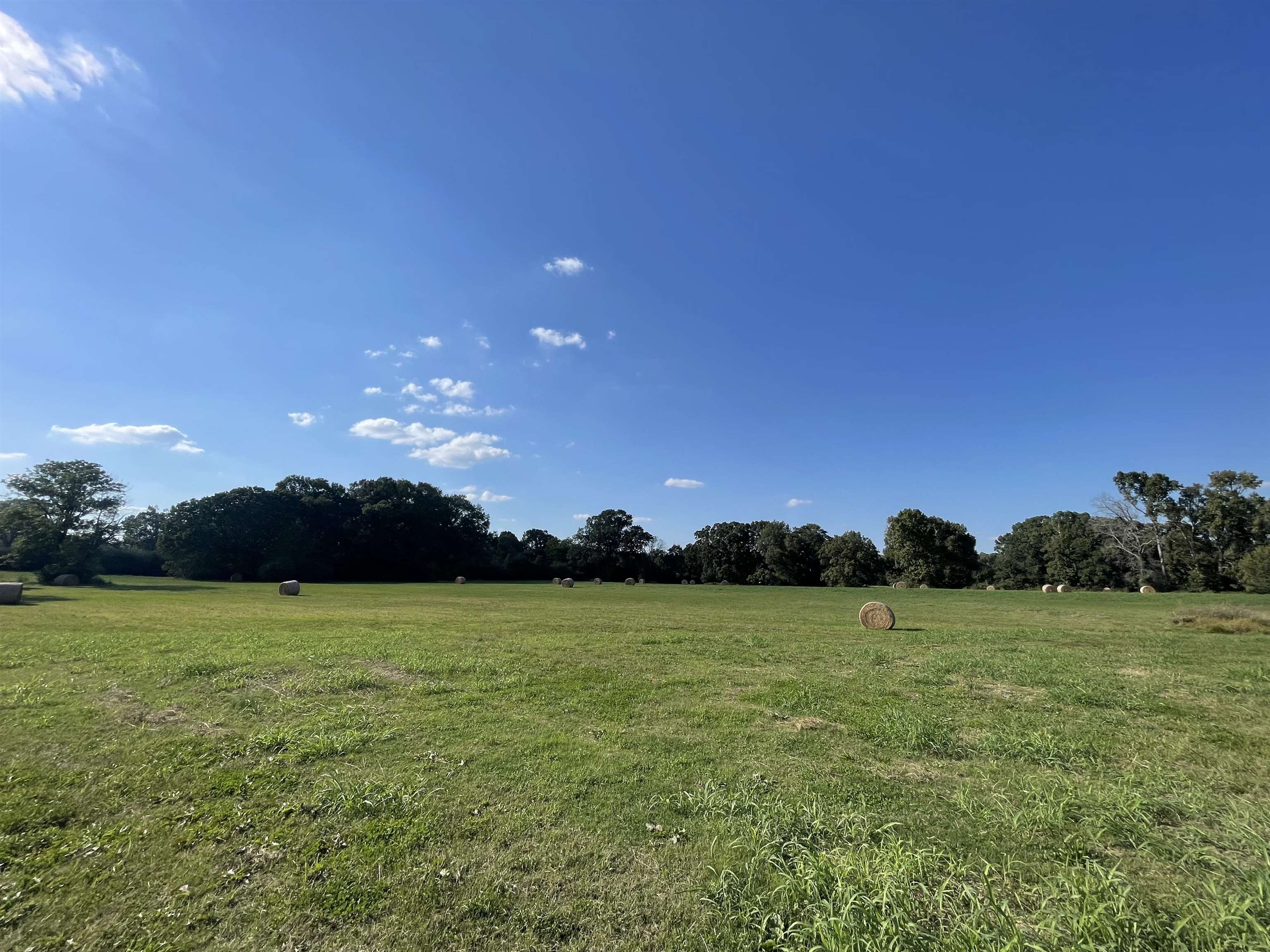 Rare opportunity to own your personal 34.5 acre property located on Center Point Loop in Faulkner County. This unique parcel offers a generous mix of pastureland and wooded terrain, making it an ideal canvas for your dream estate, agricultural pursuits, or recreational activities. With plenty of potential for residential development, this property is just a short drive to Conway for all your shopping, dining, and entertainment. It also has a small pond. The property was recently surveyed.