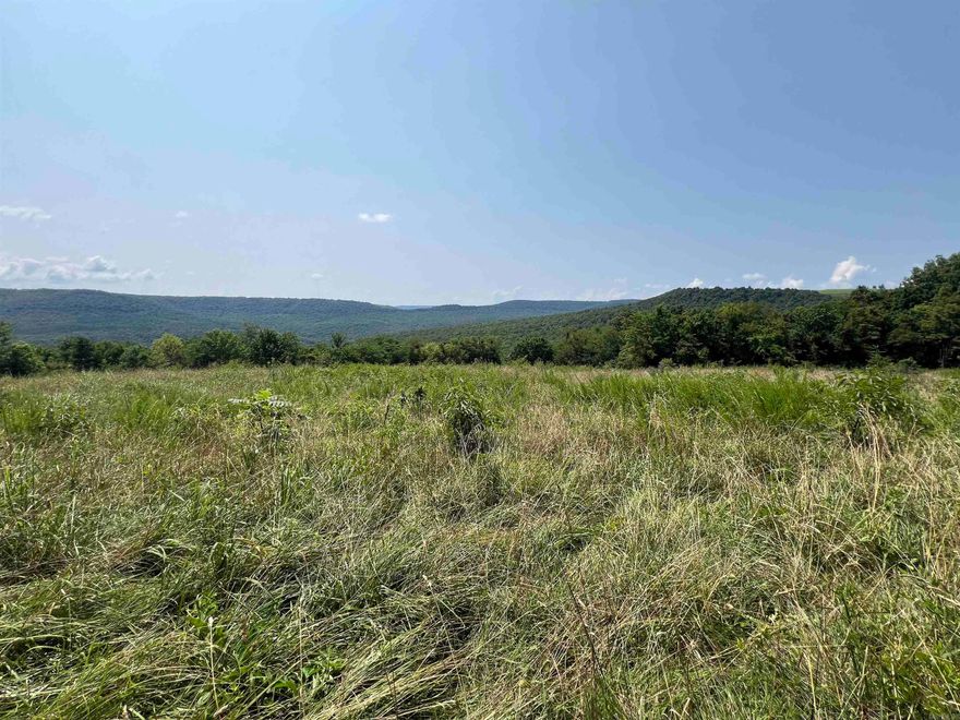 Discover the perfect blend of natural beauty and modern convenience on this stunning 28-acre property. Nestled in a serene location with breathtaking views, this land offers both pasture and woods, making it an ideal spot for hunting enthusiasts. With electric and fiber internet already available on the property, you can enjoy the tranquility of nature without sacrificing connectivity. Accessible via Browntown Rd. or Lickfork Rd., this versatile parcel is perfect for your dream home or a recreational retreat. Don’t miss this opportunity to own a piece of paradise!