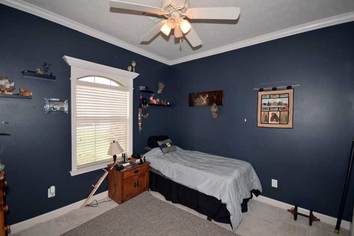 The Willows - Residential