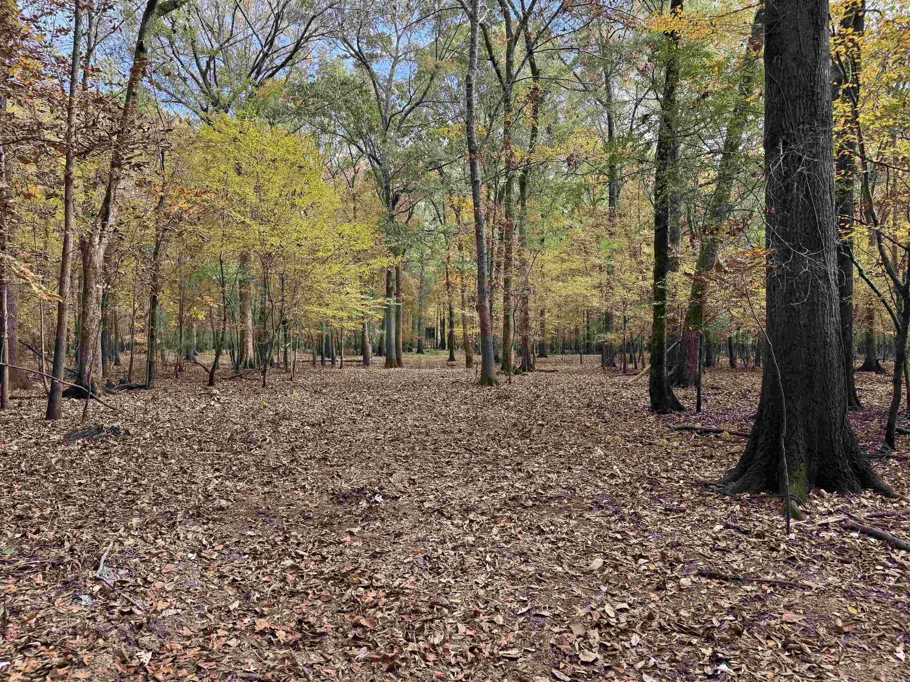 Metes & Bounds - Land