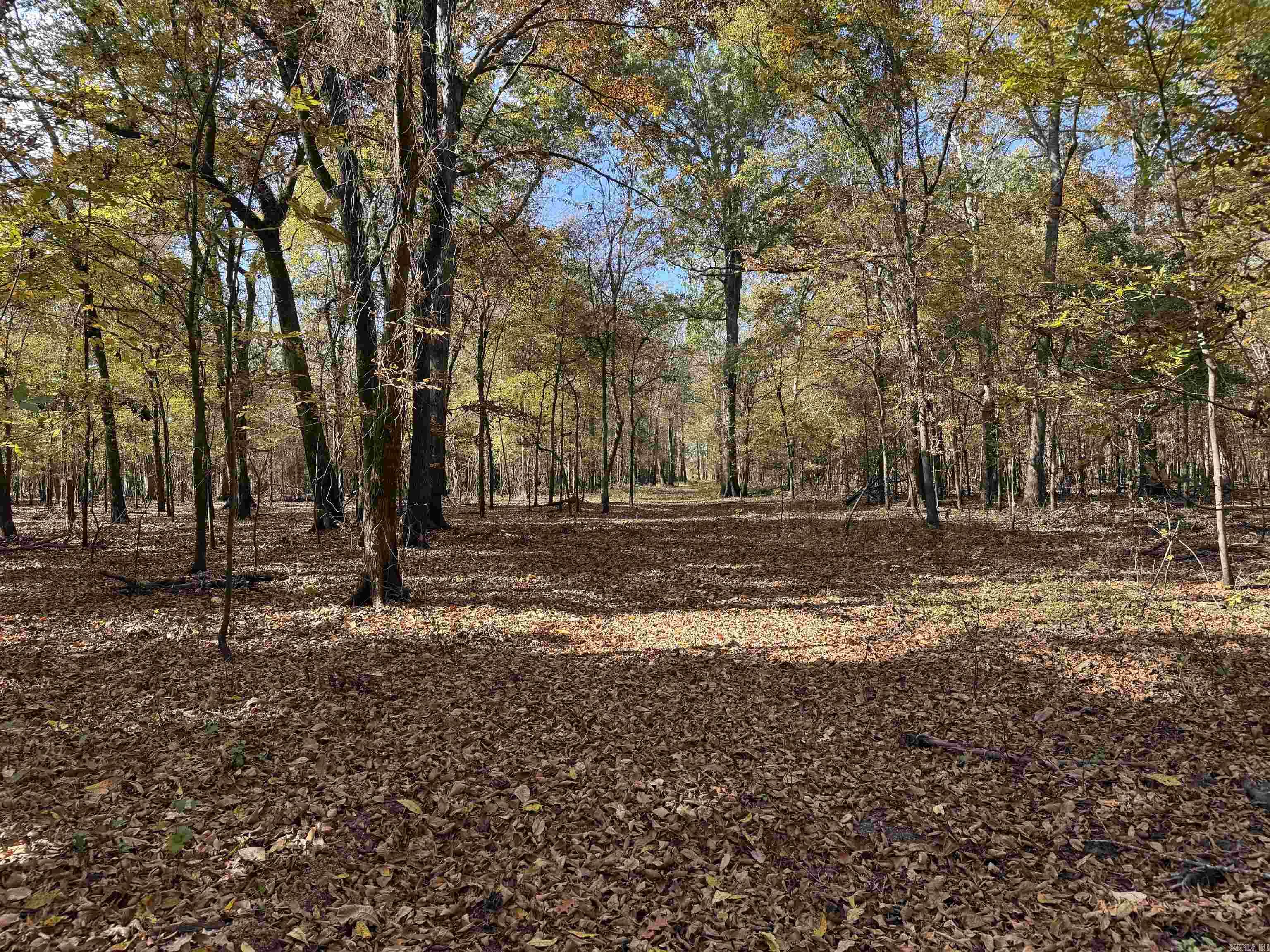 Metes & Bounds - Land