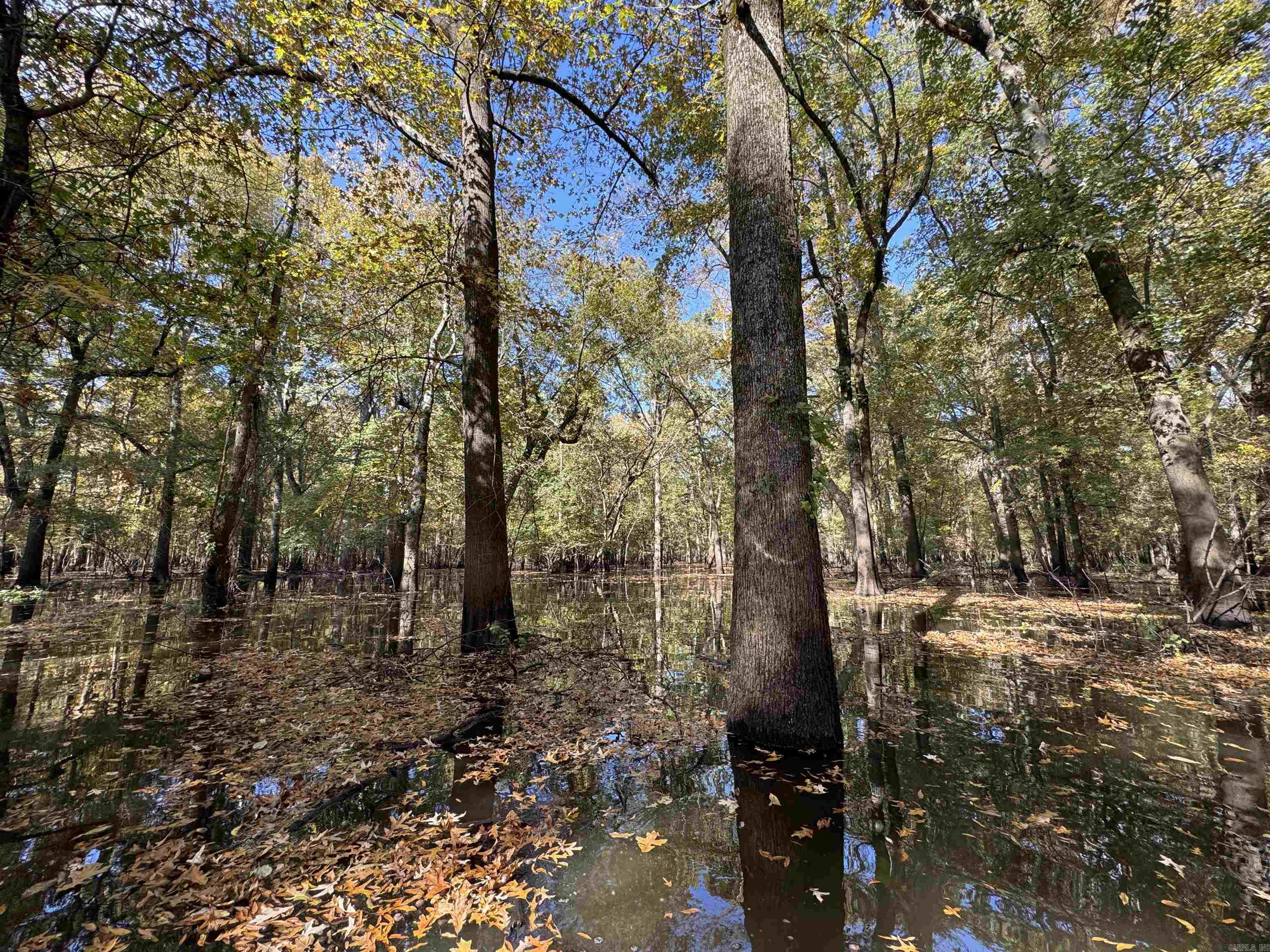 Metes & Bounds - Land