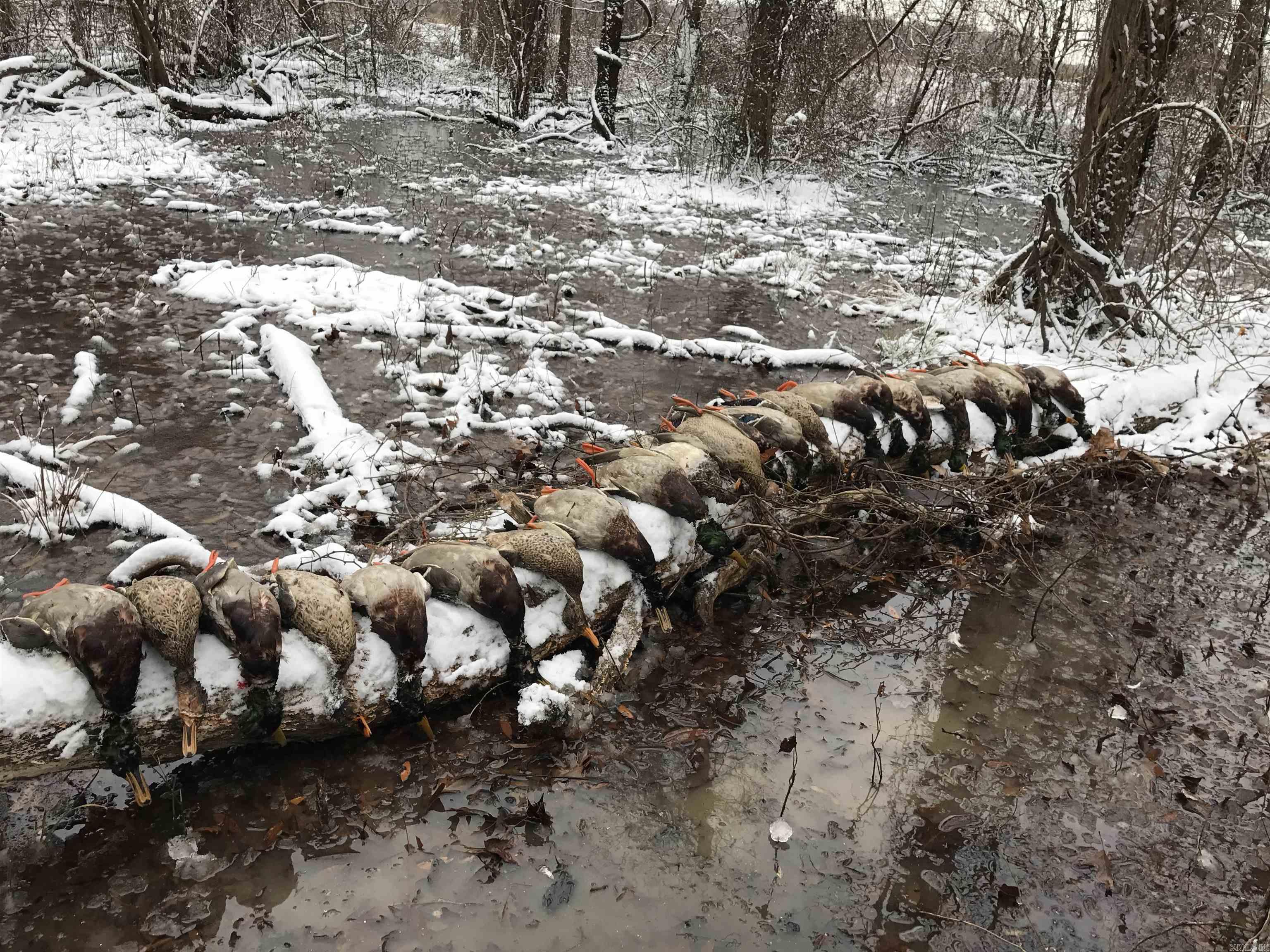 Metes & Bounds - Land