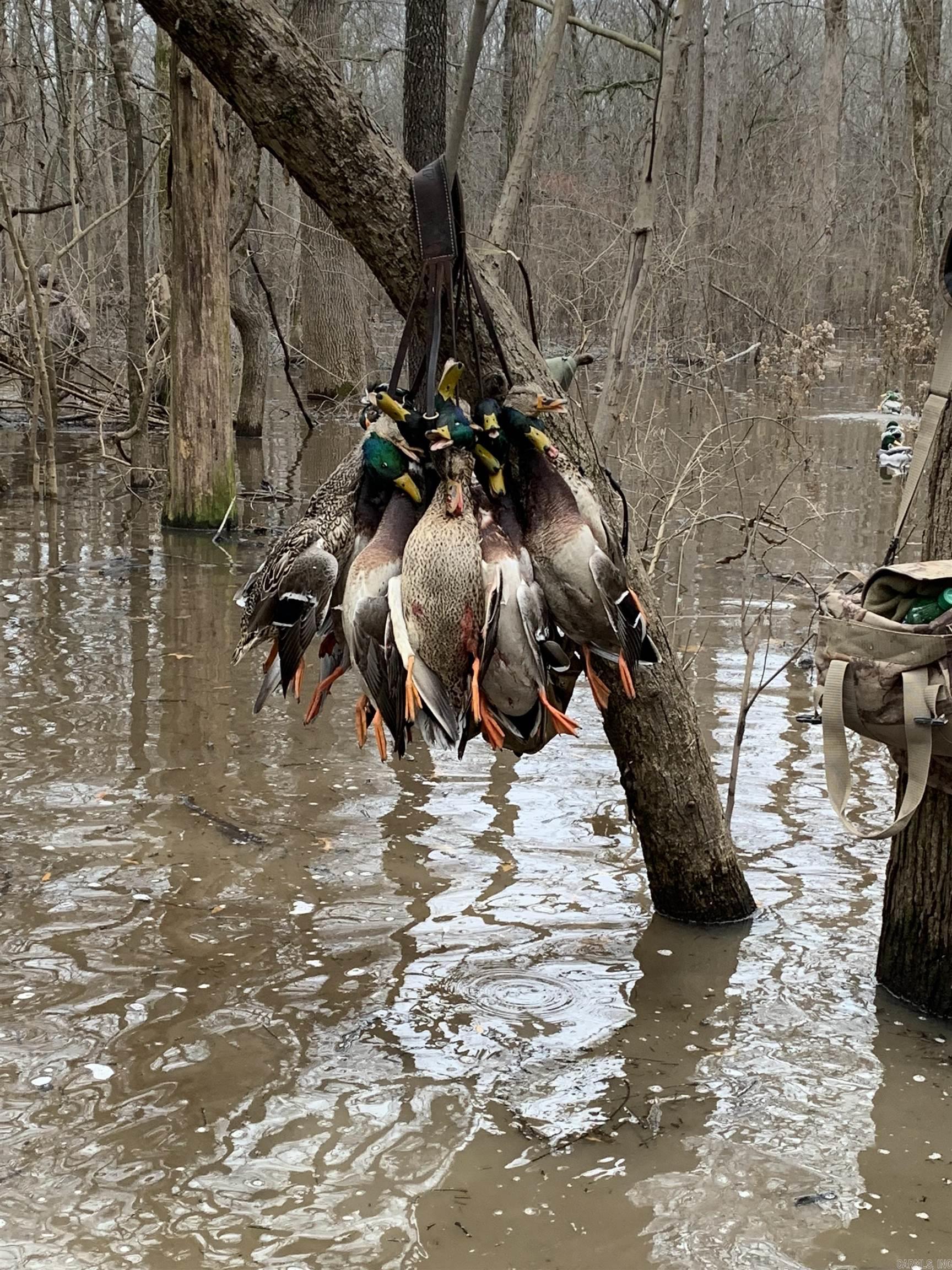 Metes & Bounds - Land