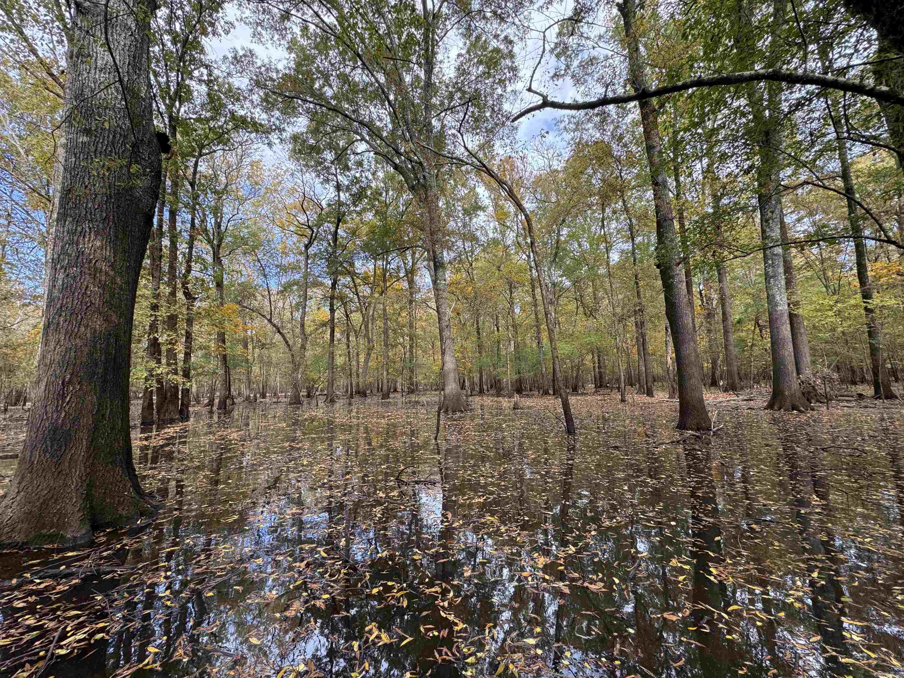 Metes & Bounds - Land