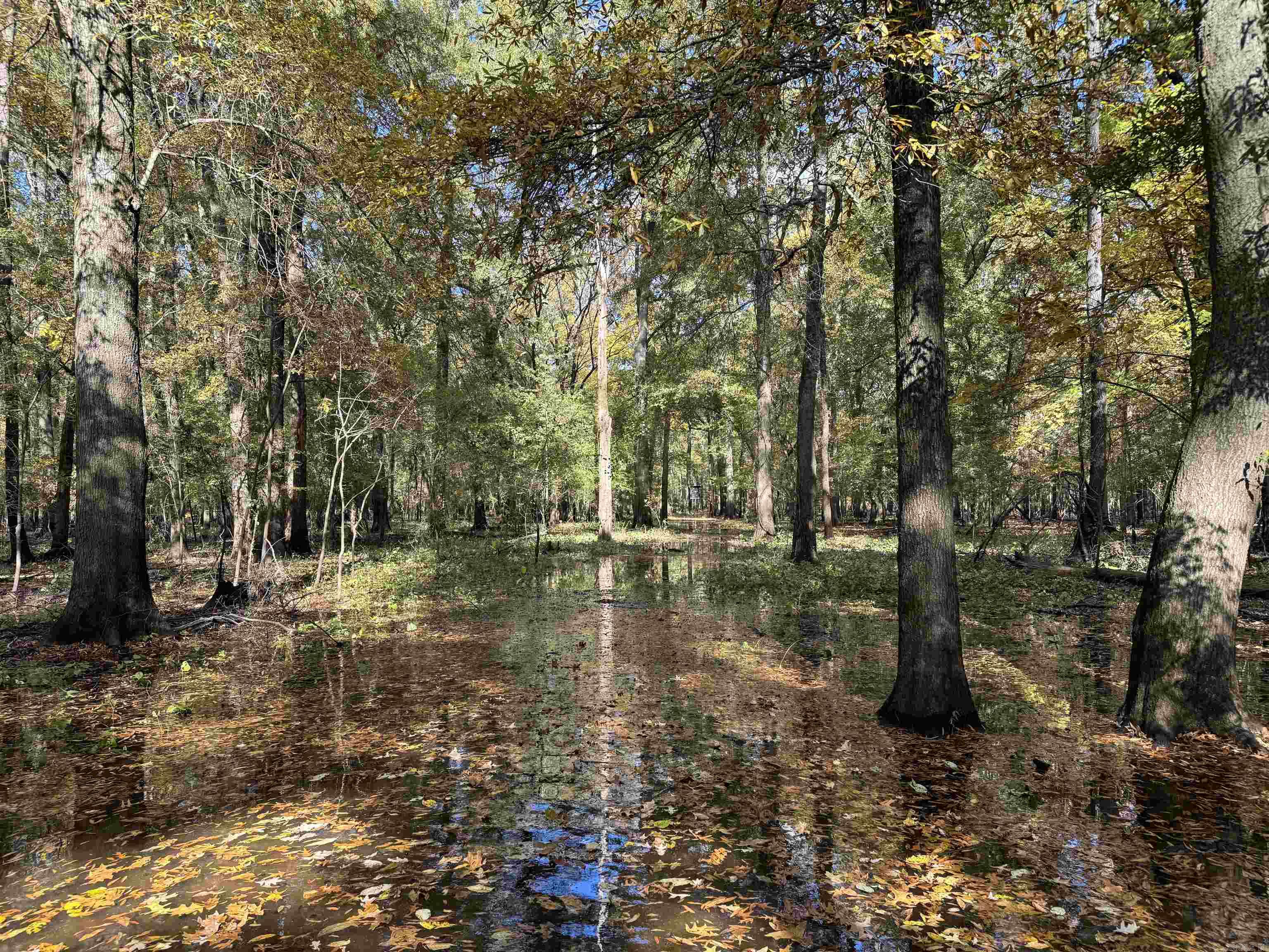 Metes & Bounds - Land