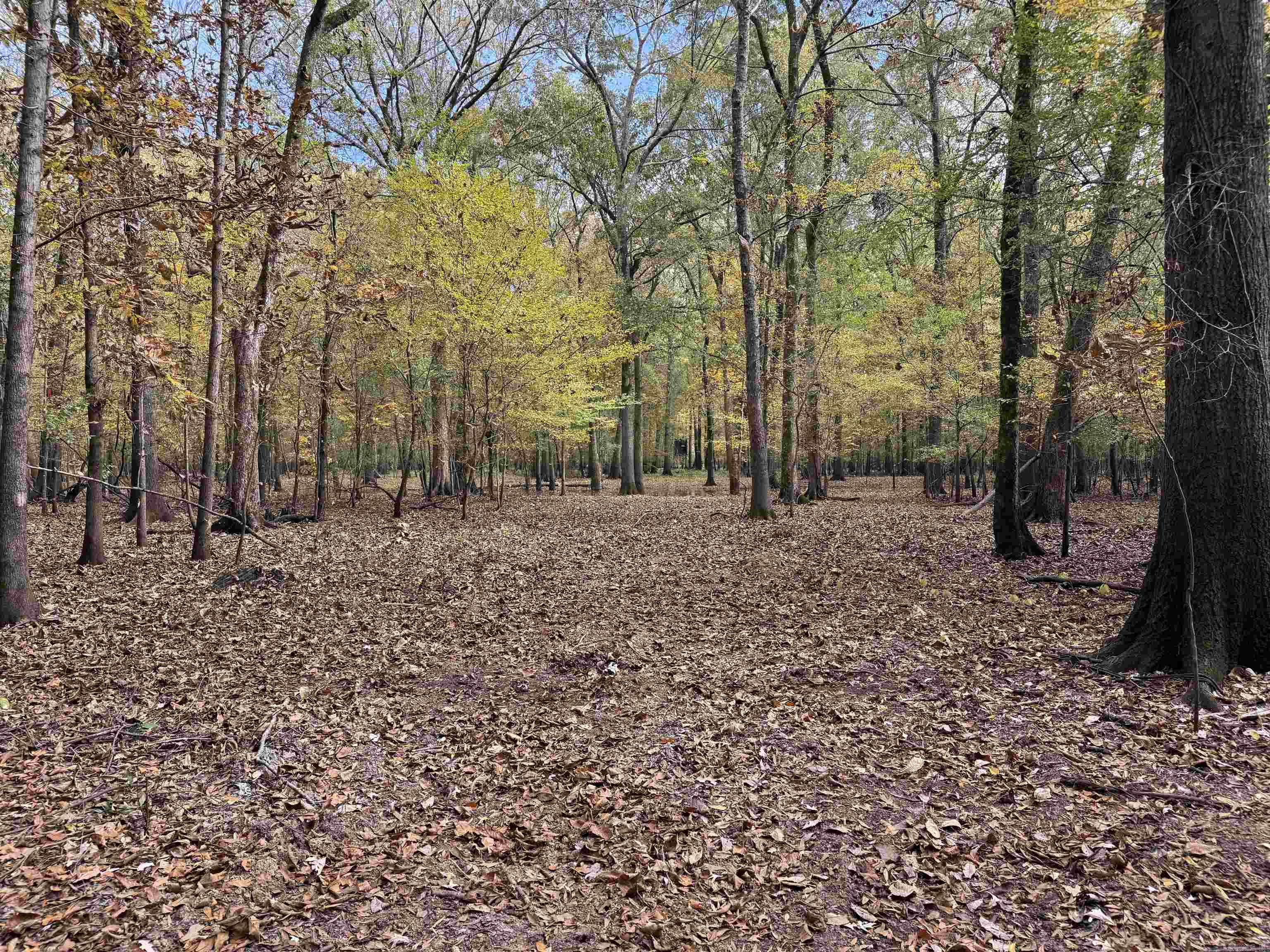 Metes & Bounds - Land