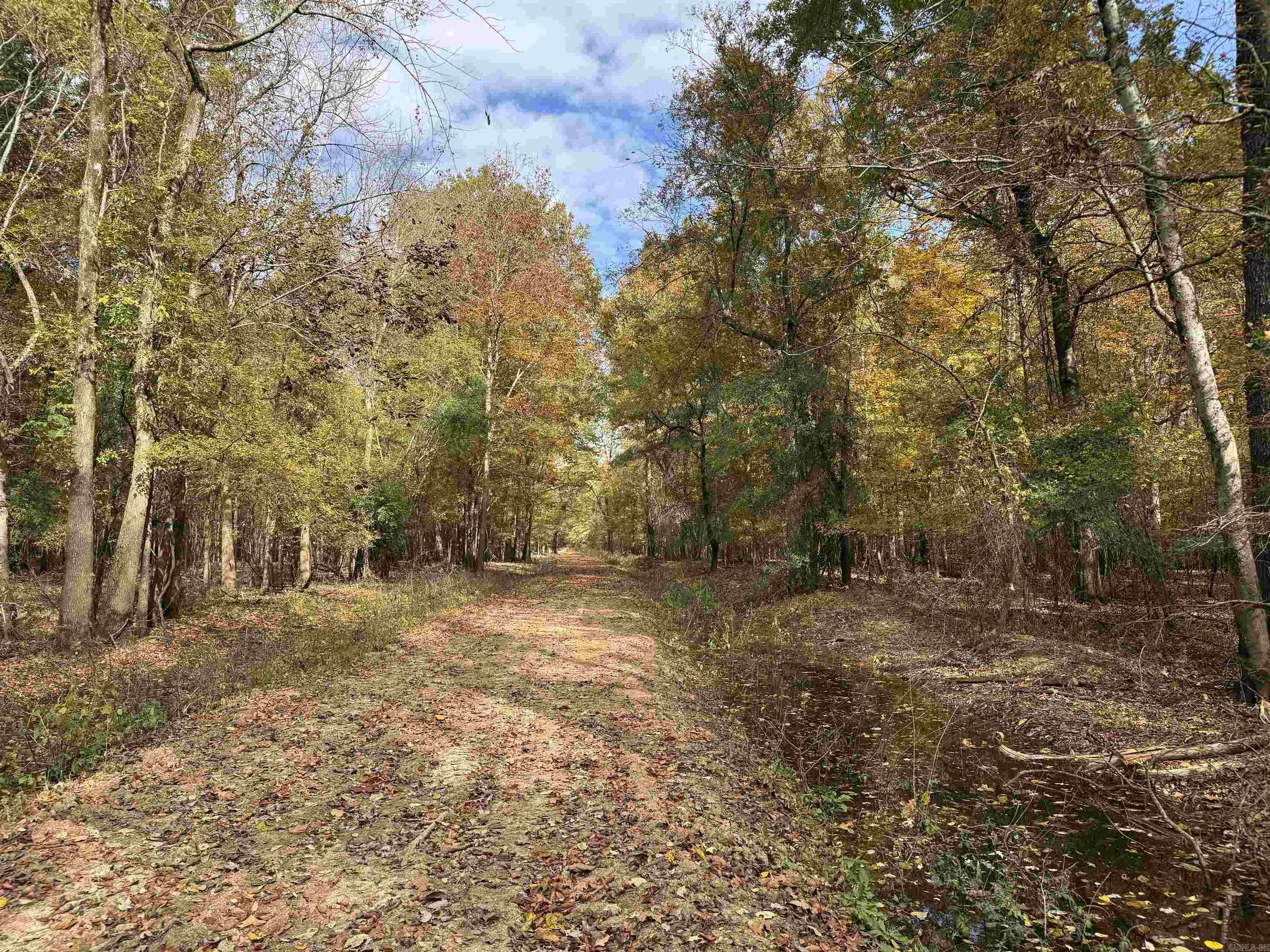 Metes & Bounds - Land