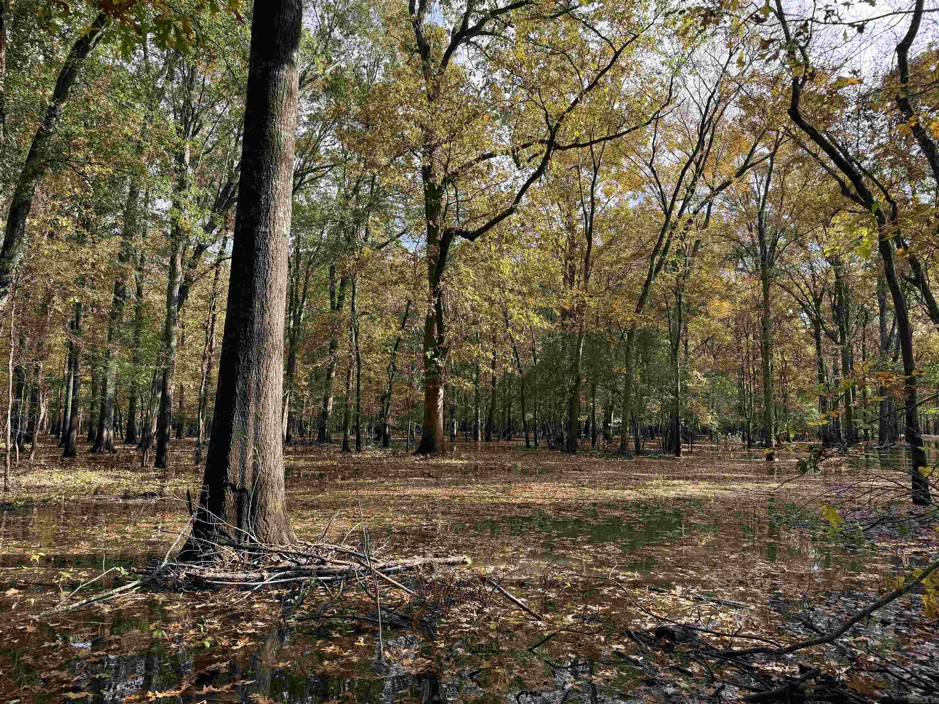 Metes & Bounds - Land