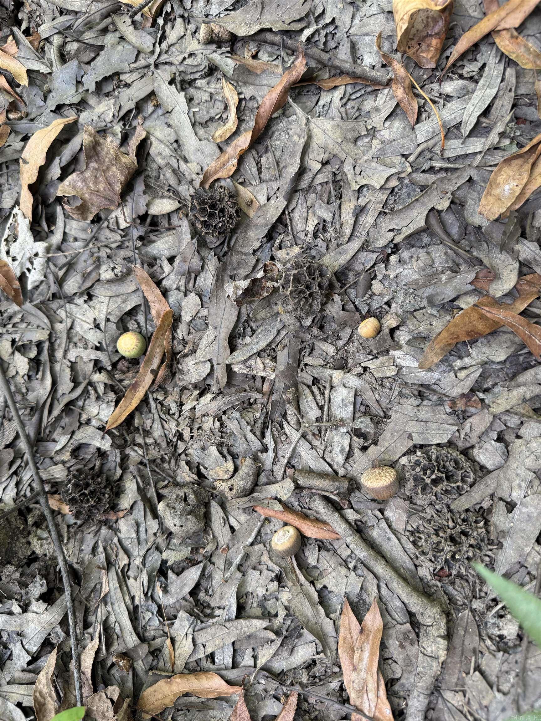 Metes & Bounds - Land