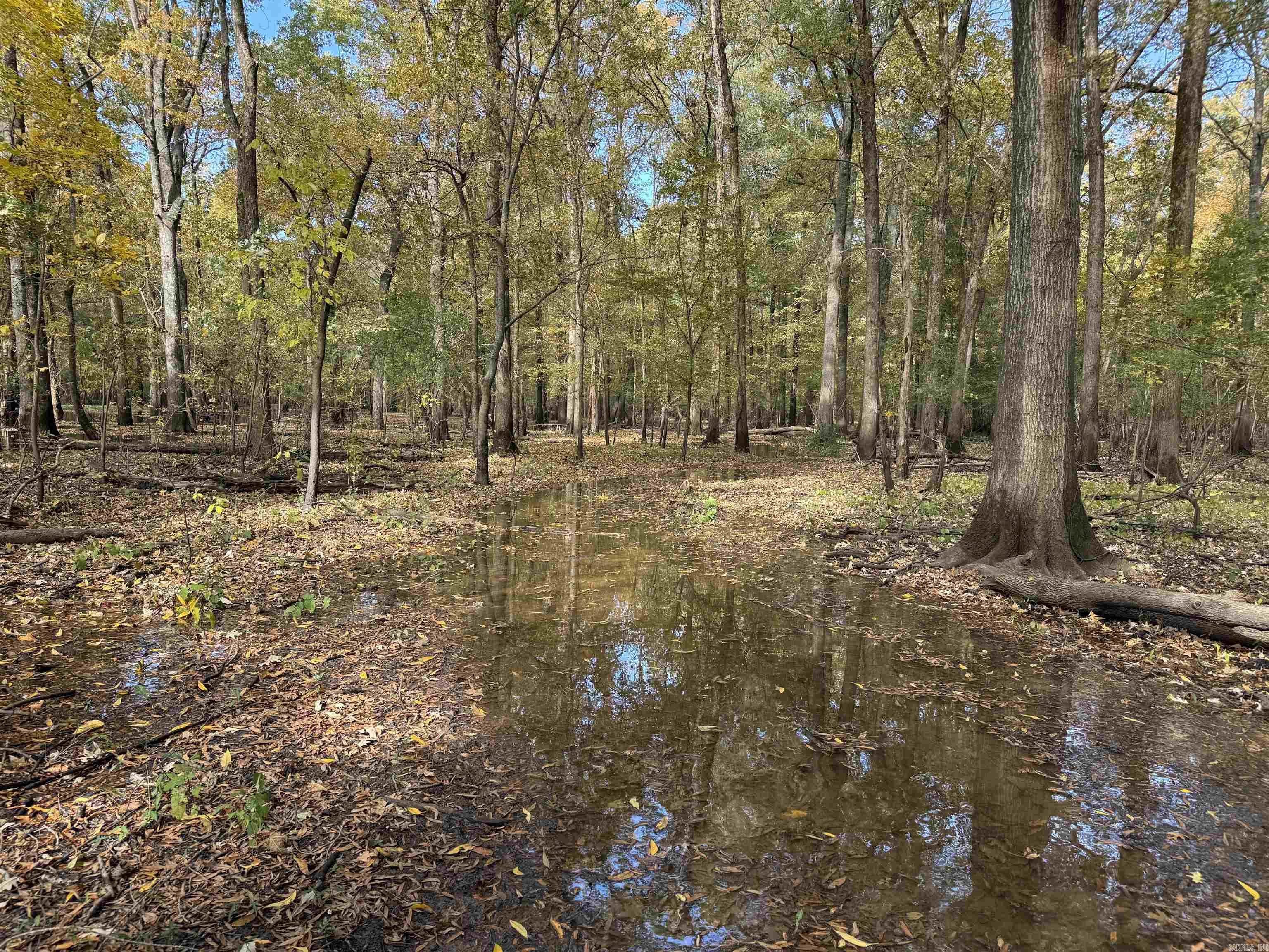 Metes & Bounds - Land