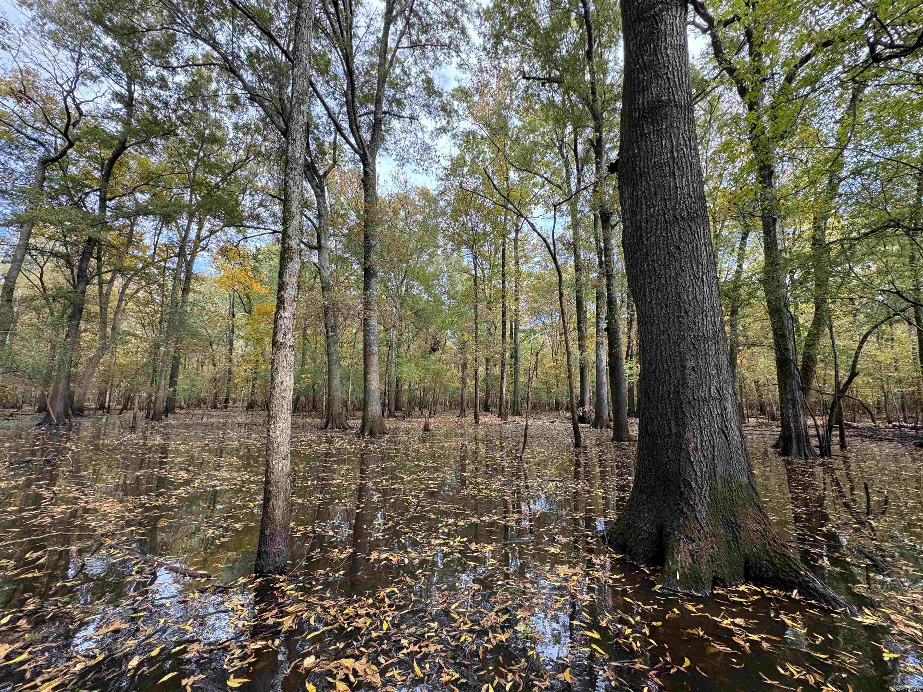 Metes & Bounds - Land