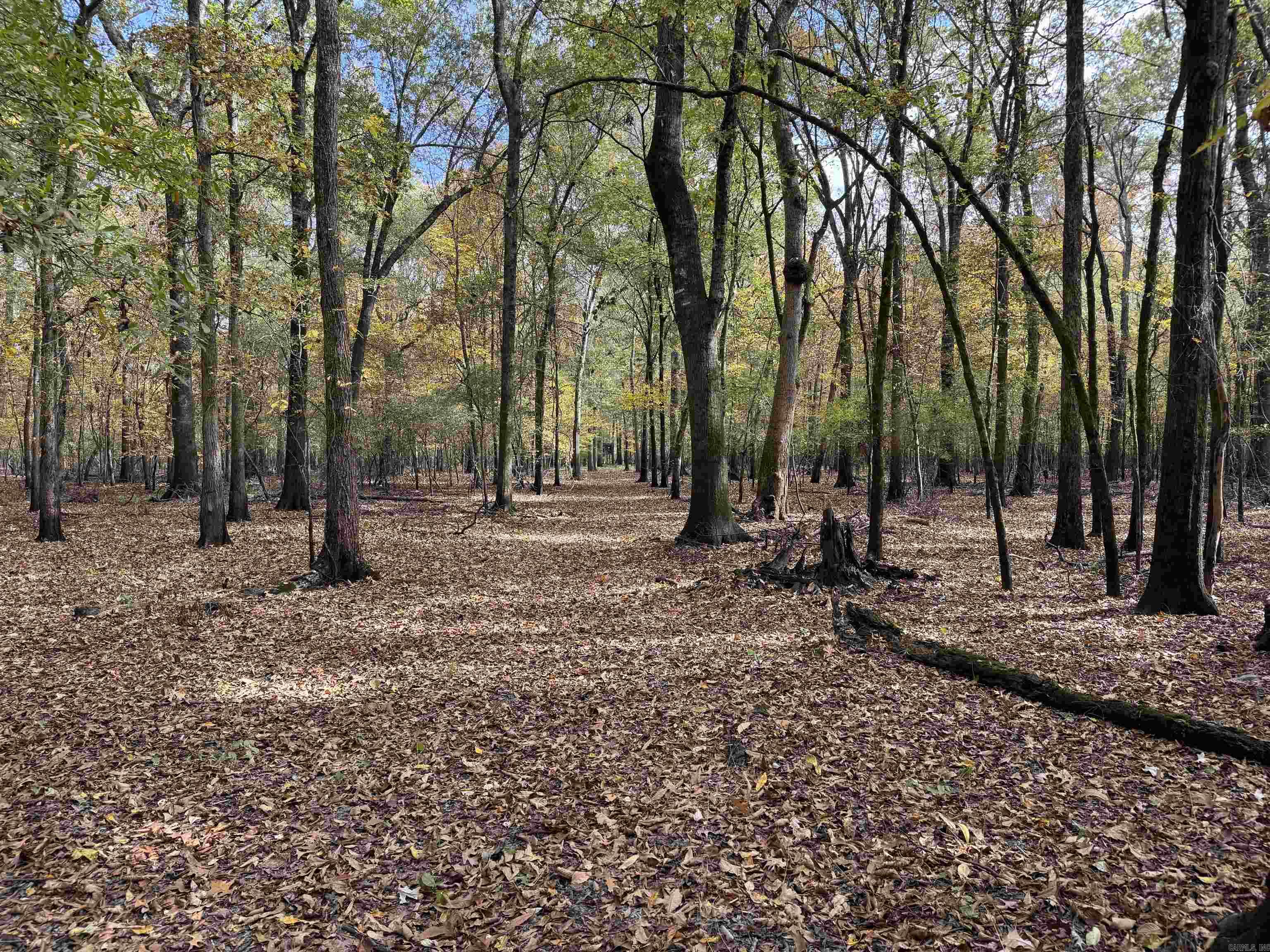 Metes & Bounds - Land