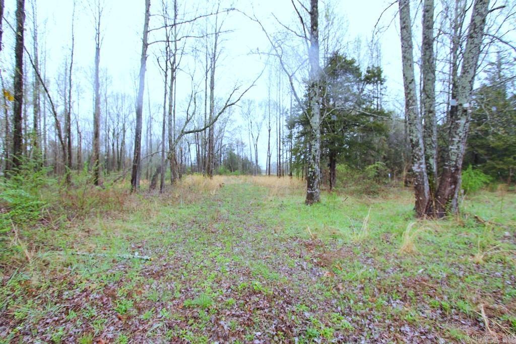 Fox Run II - Land